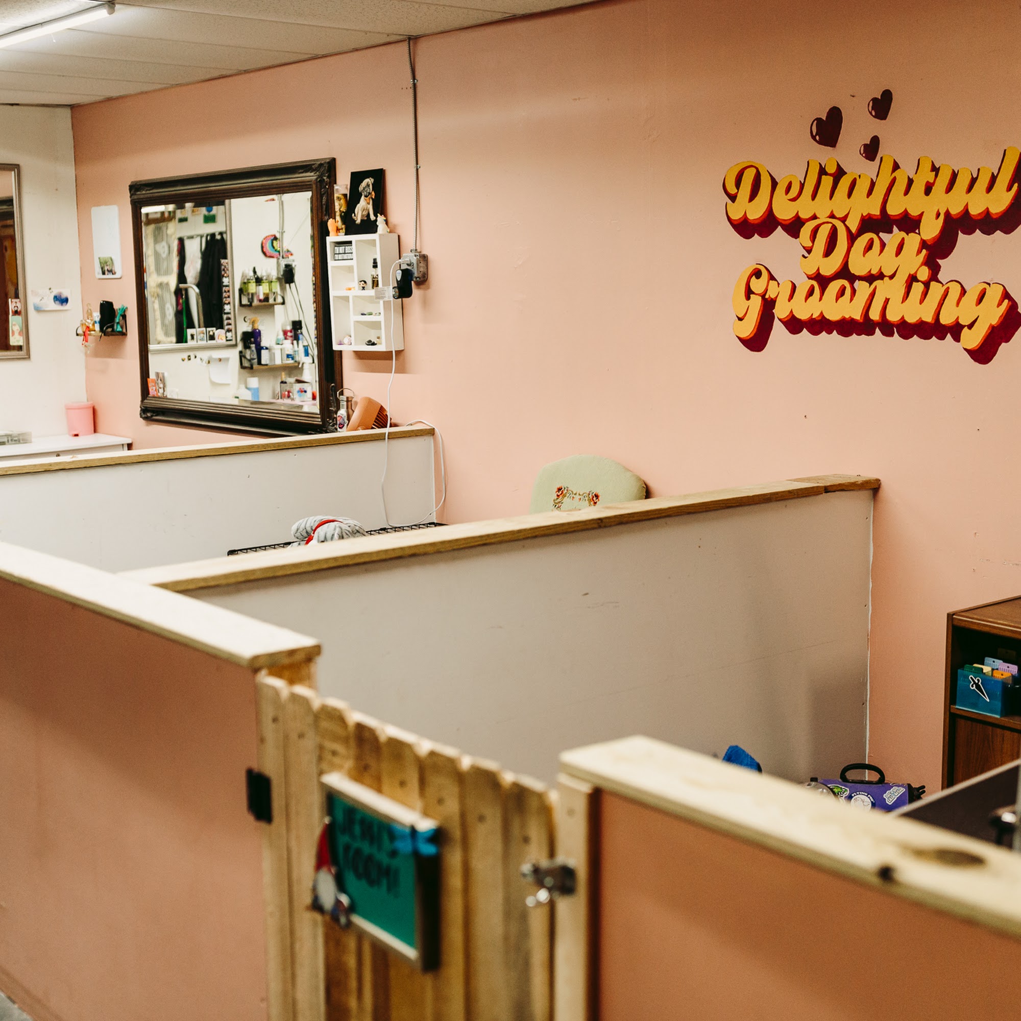 Delightful Dog grooming Webster