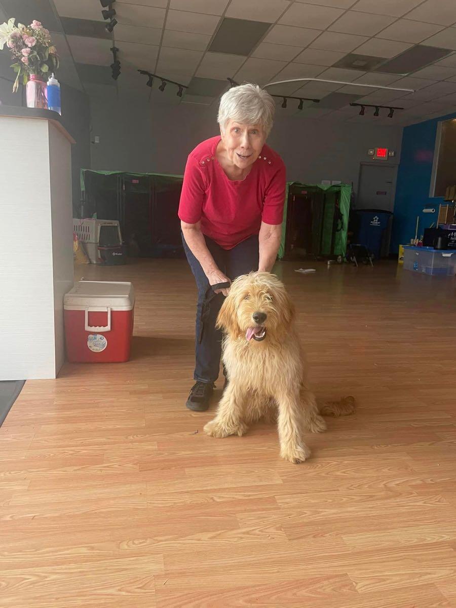 Pet Adoption Center by Lifeline of Galveston County Webster