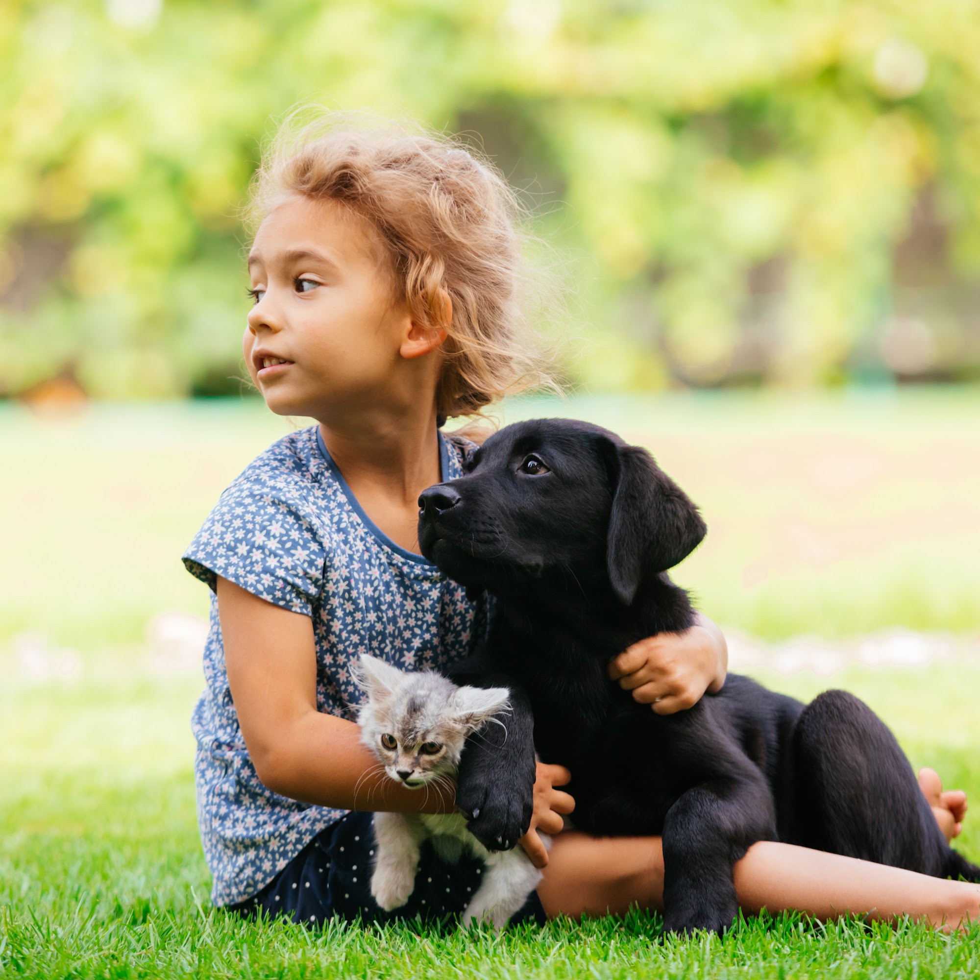 Azalea Animal Hospital Whitehouse