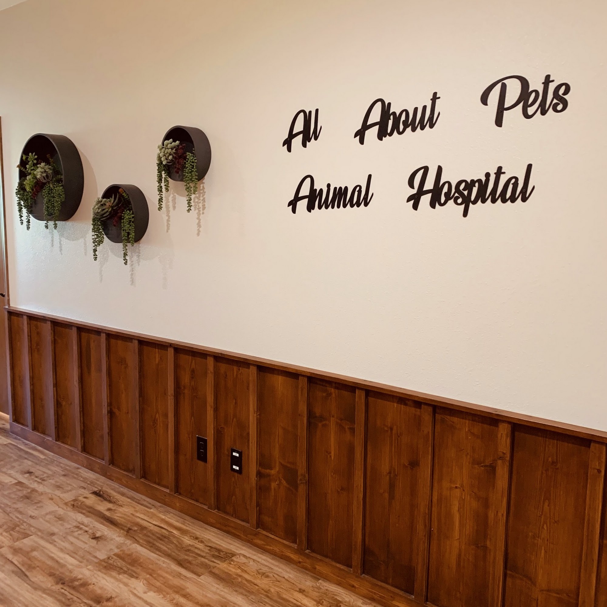 All About Pets Animal Hospital Whitesboro