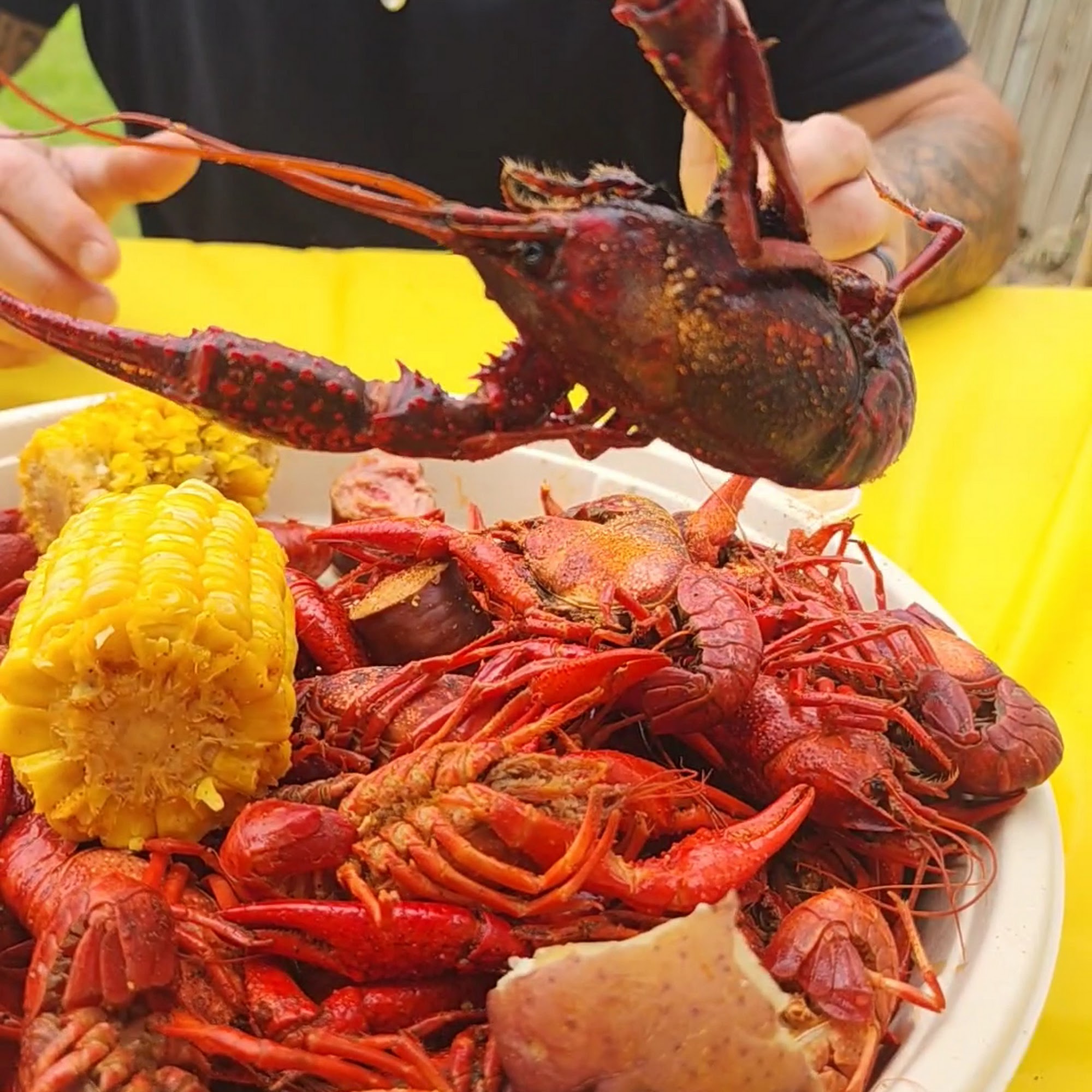 Bayou Bugs & BBQ Whitesboro