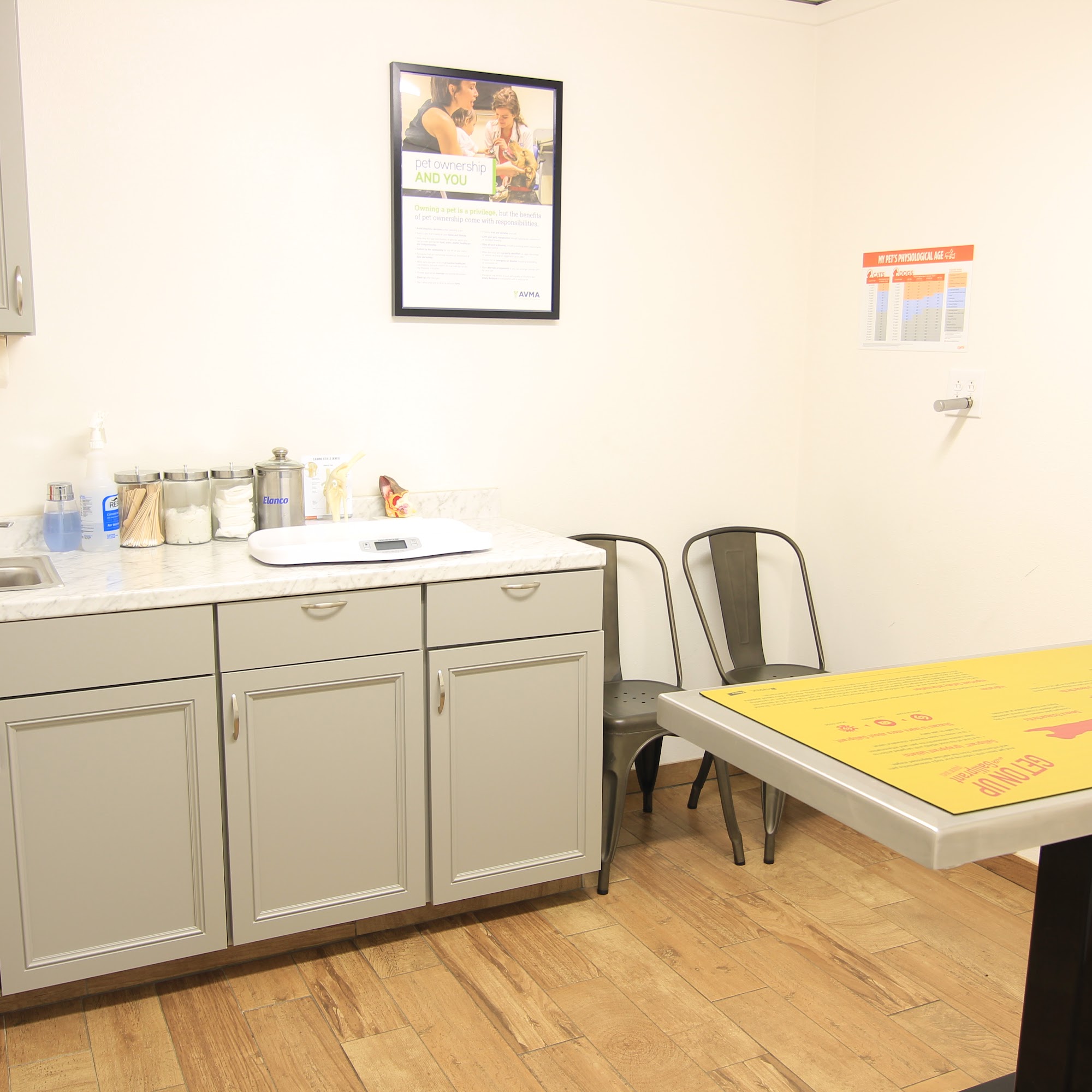 Whitney Veterinary Clinic Whitney