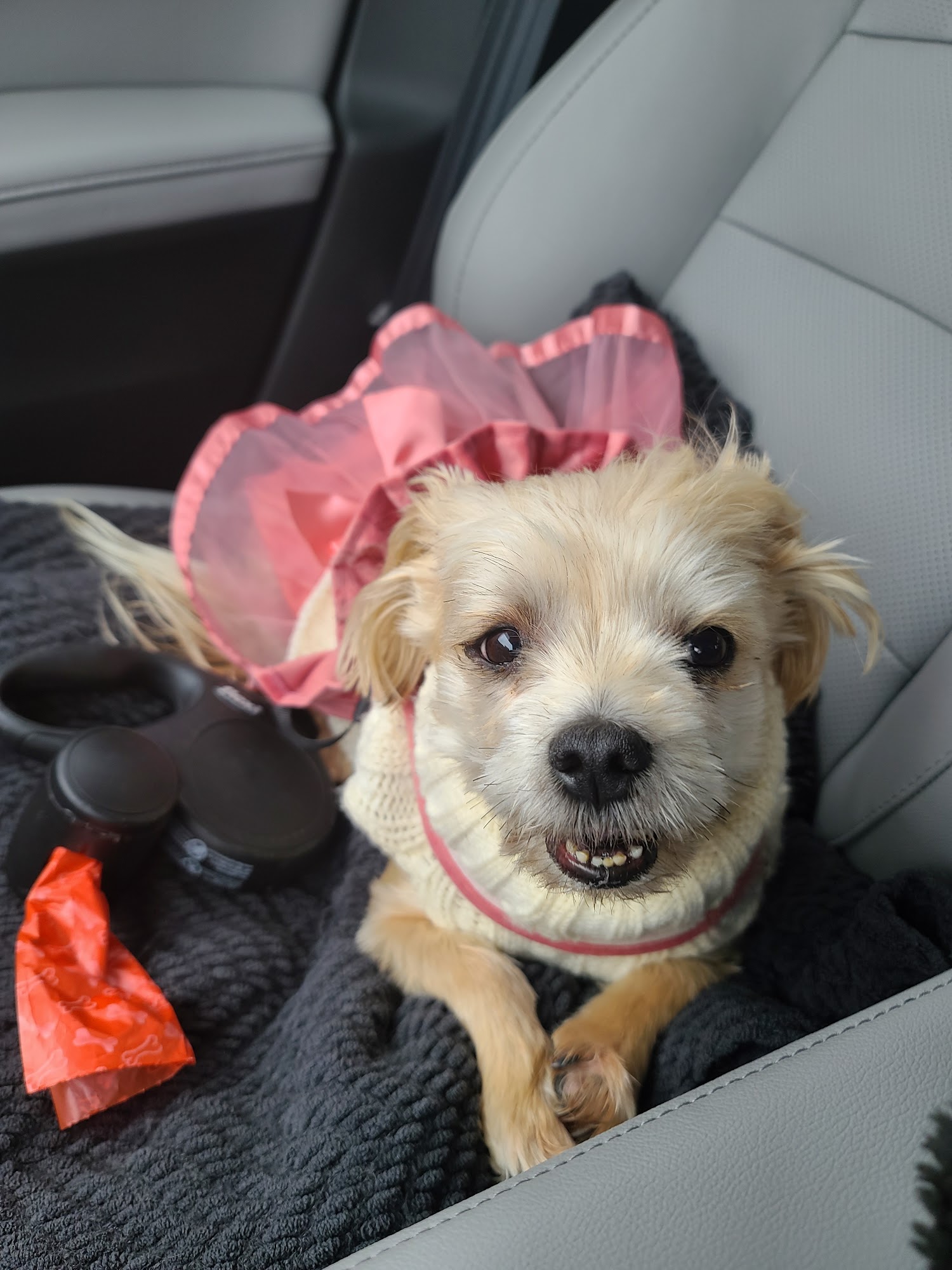 Colonial Park Veterinary Hospital Wichita Falls