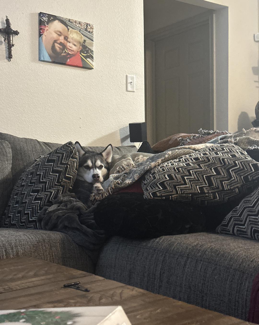 The Mannered Mutt Willis