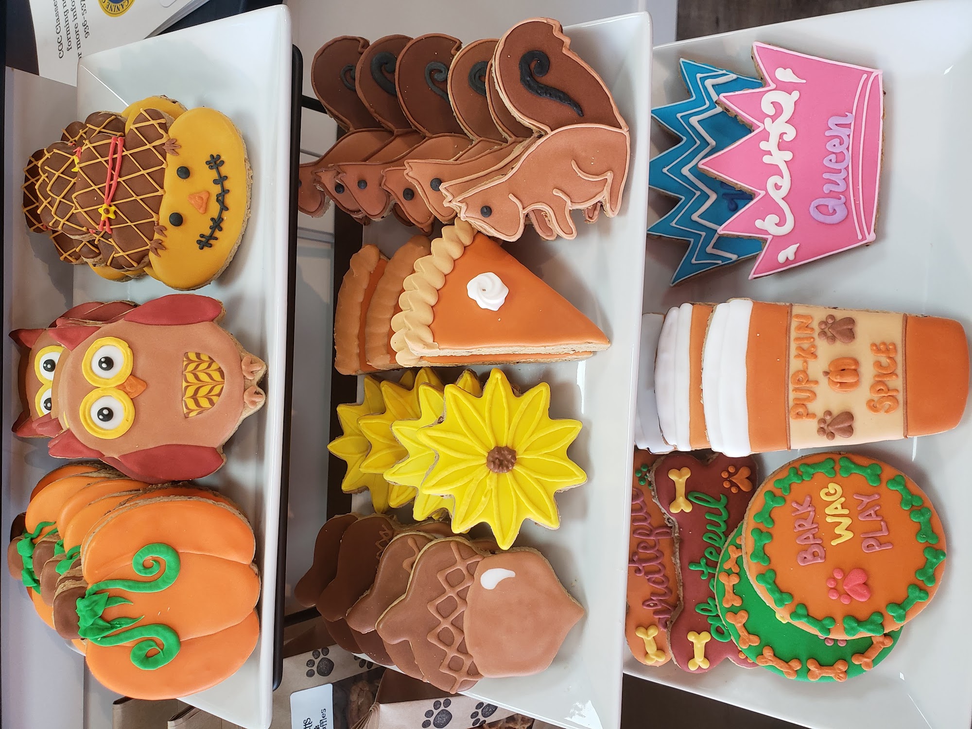 Brilliant Paws nibbles-n-more Willis