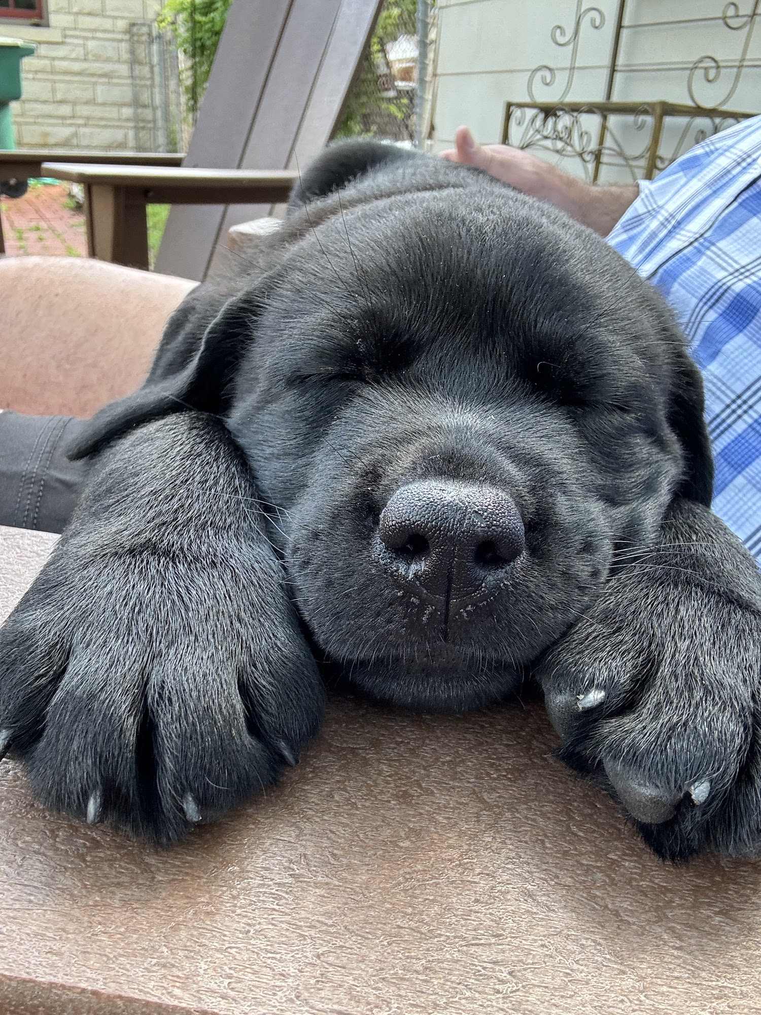 Van Zandt Veterinary Hospital Wills Point