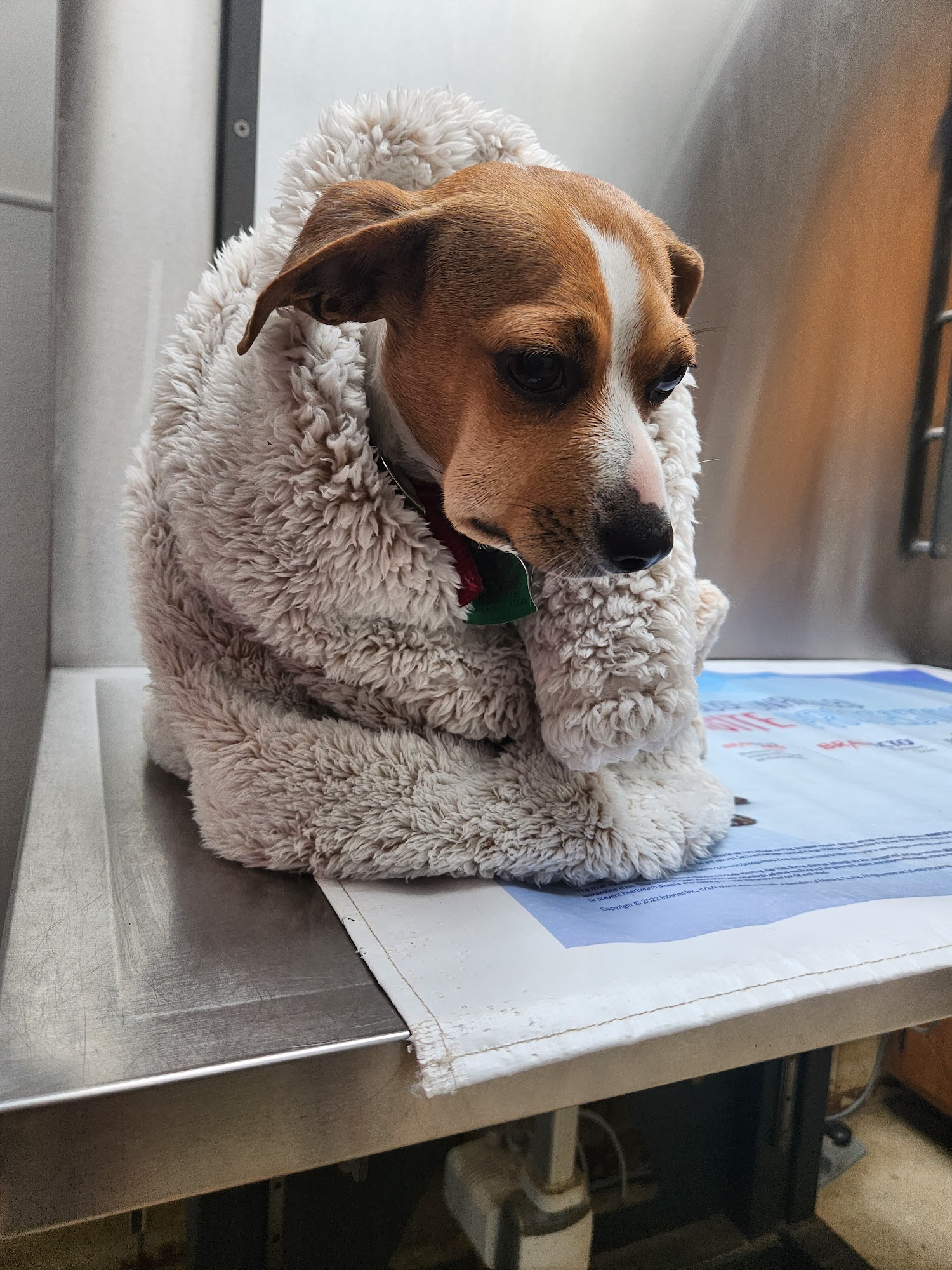 Wills Point Veterinary Clinic Wills Point