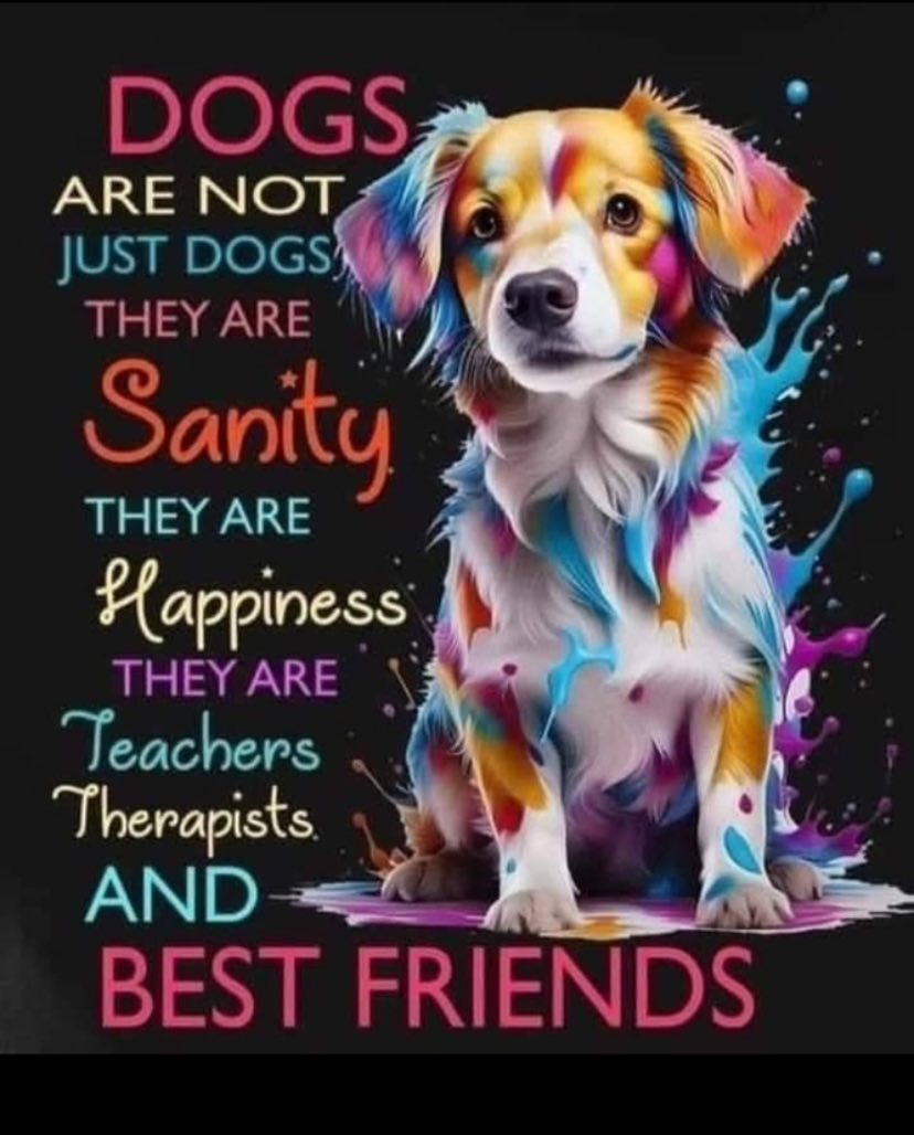 Blair Dog Center Wills Point