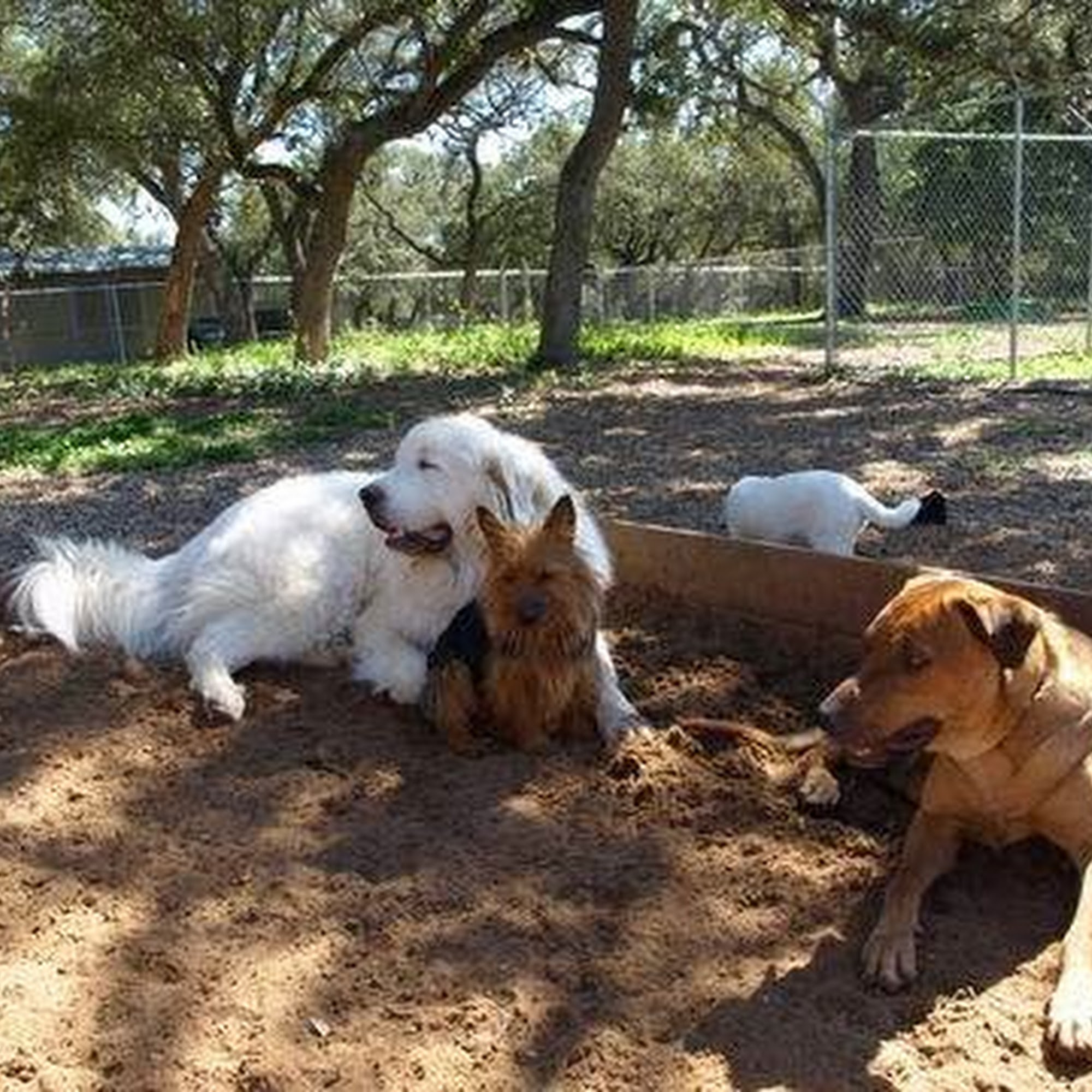 K-9 Retreat Wimberley