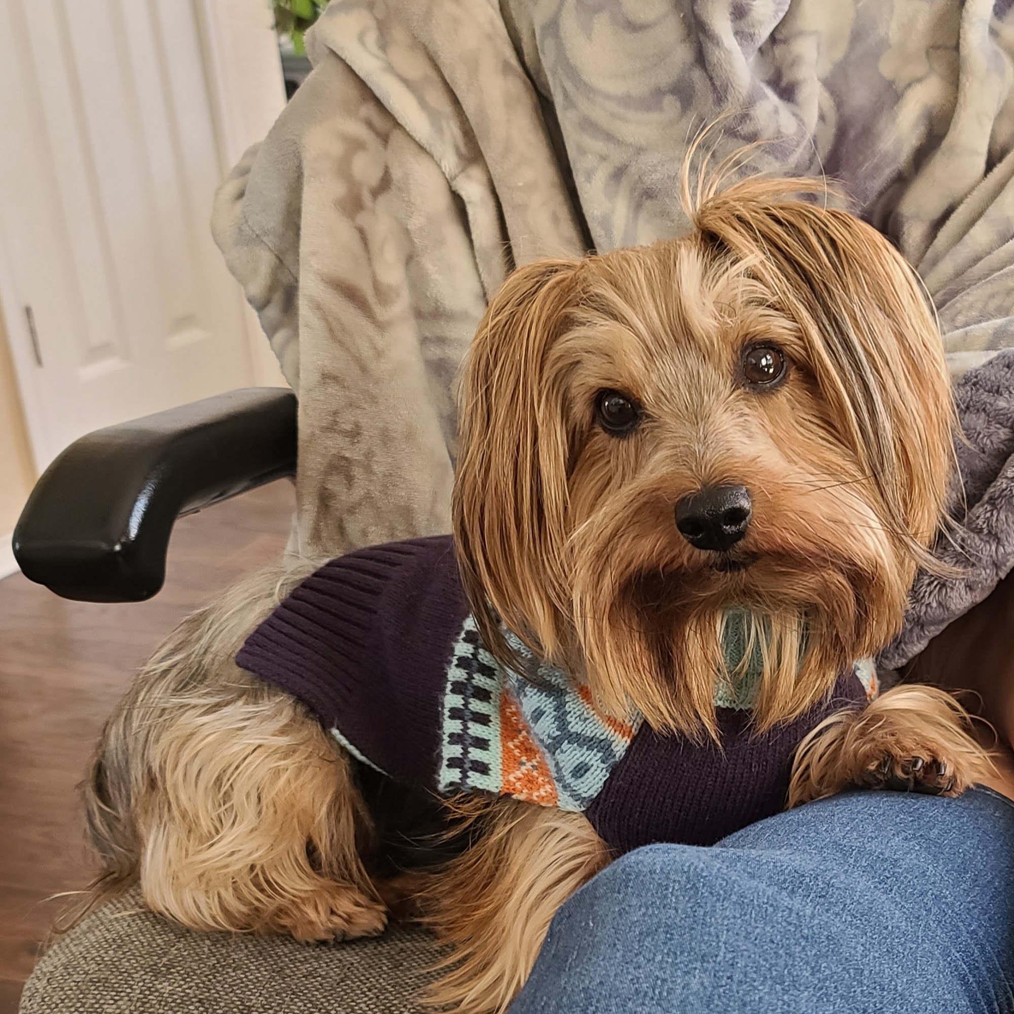 Winnie Veterinary Clinic Winnie