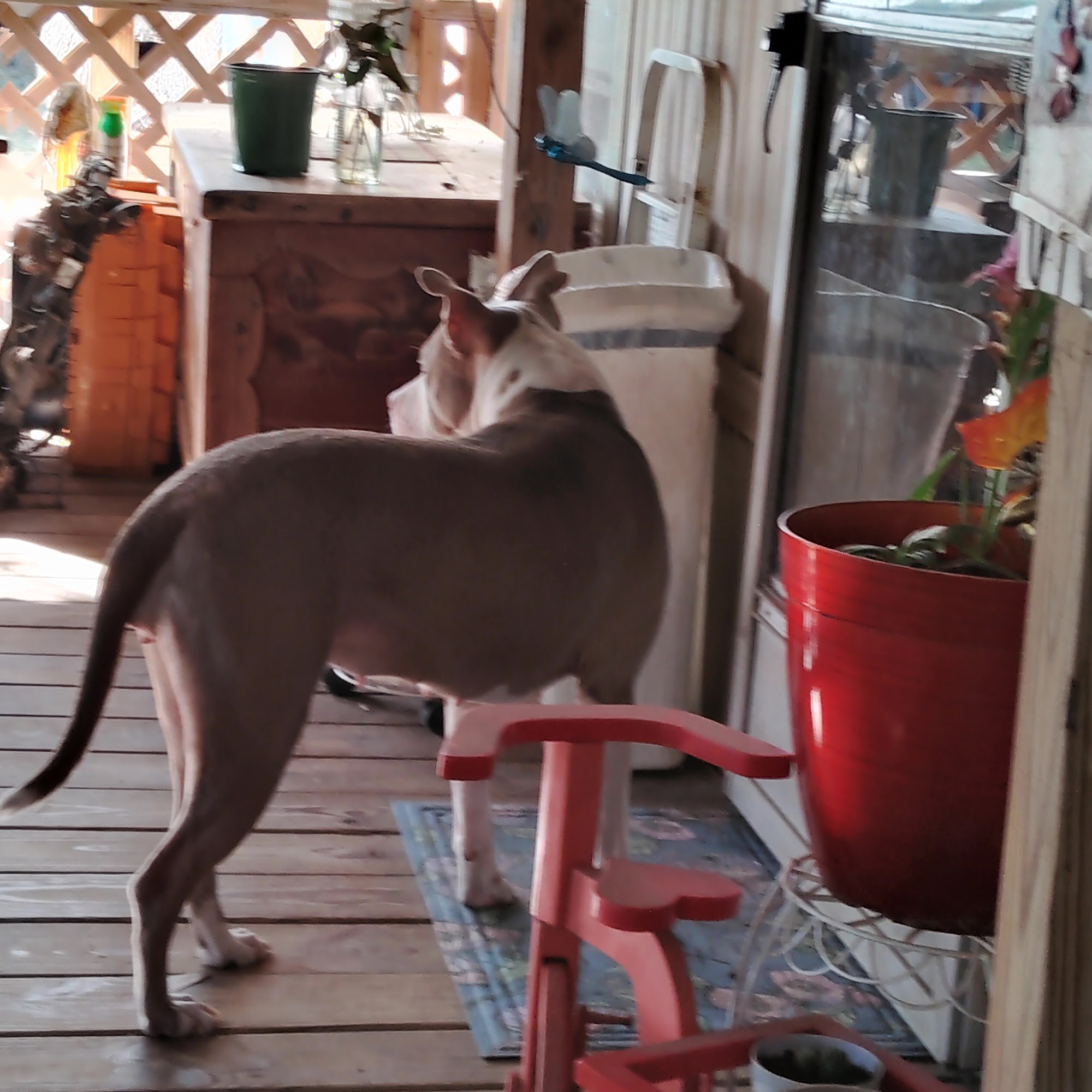 Woodville Veterinary Clinic Woodville