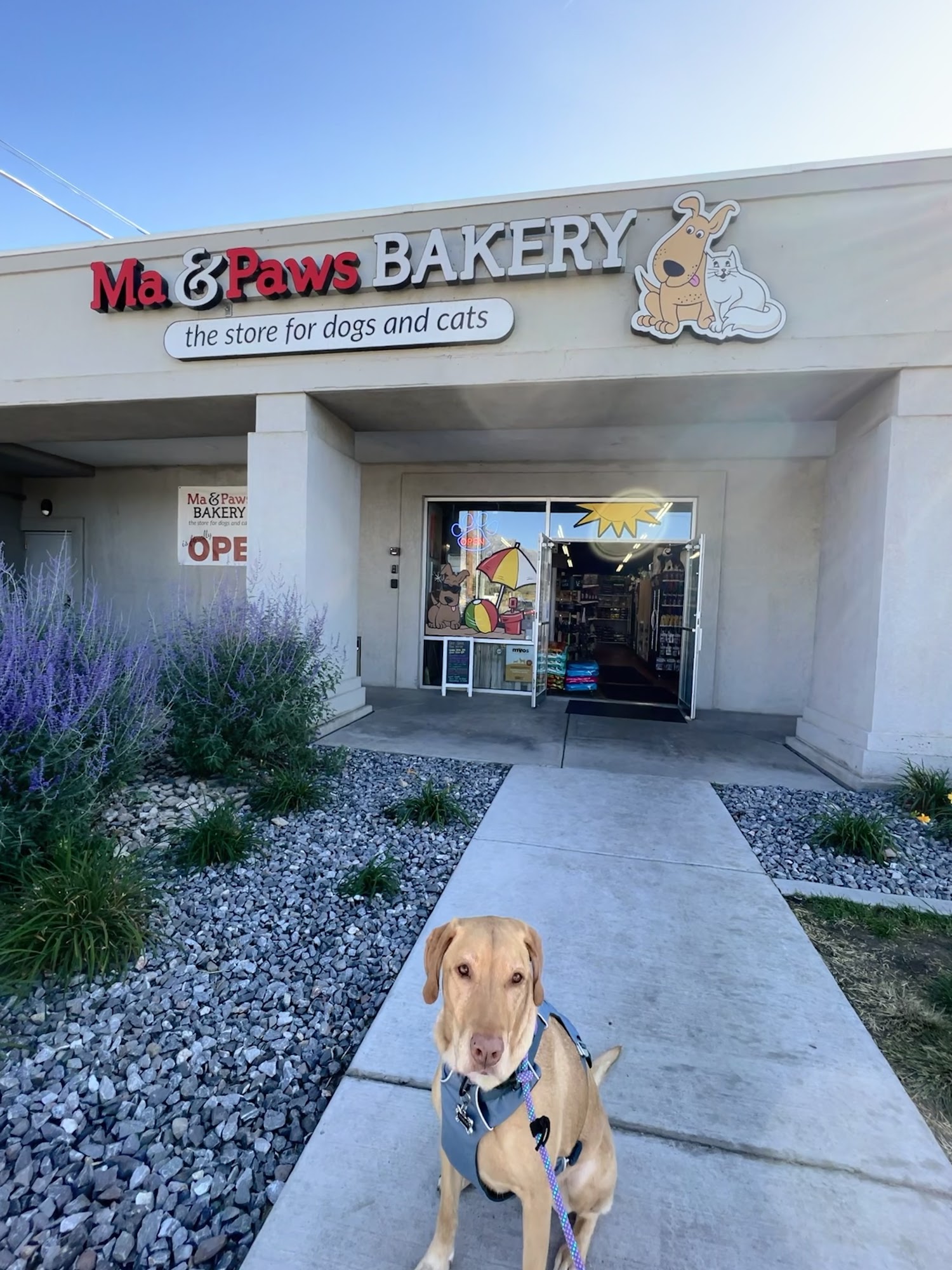Ma & Paws Bakery....& Self Serve Dog Wash American Fork