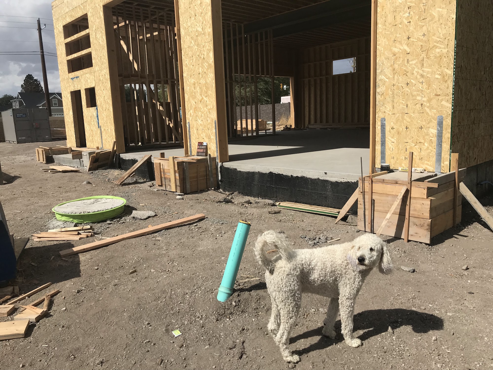 VIP PET GROOMING Bluffdale