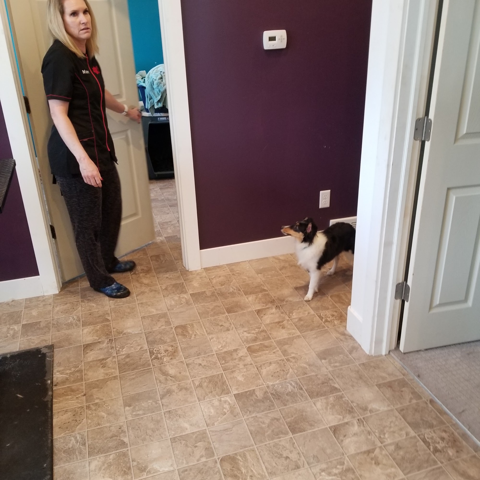 VIP PET GROOMING Bluffdale