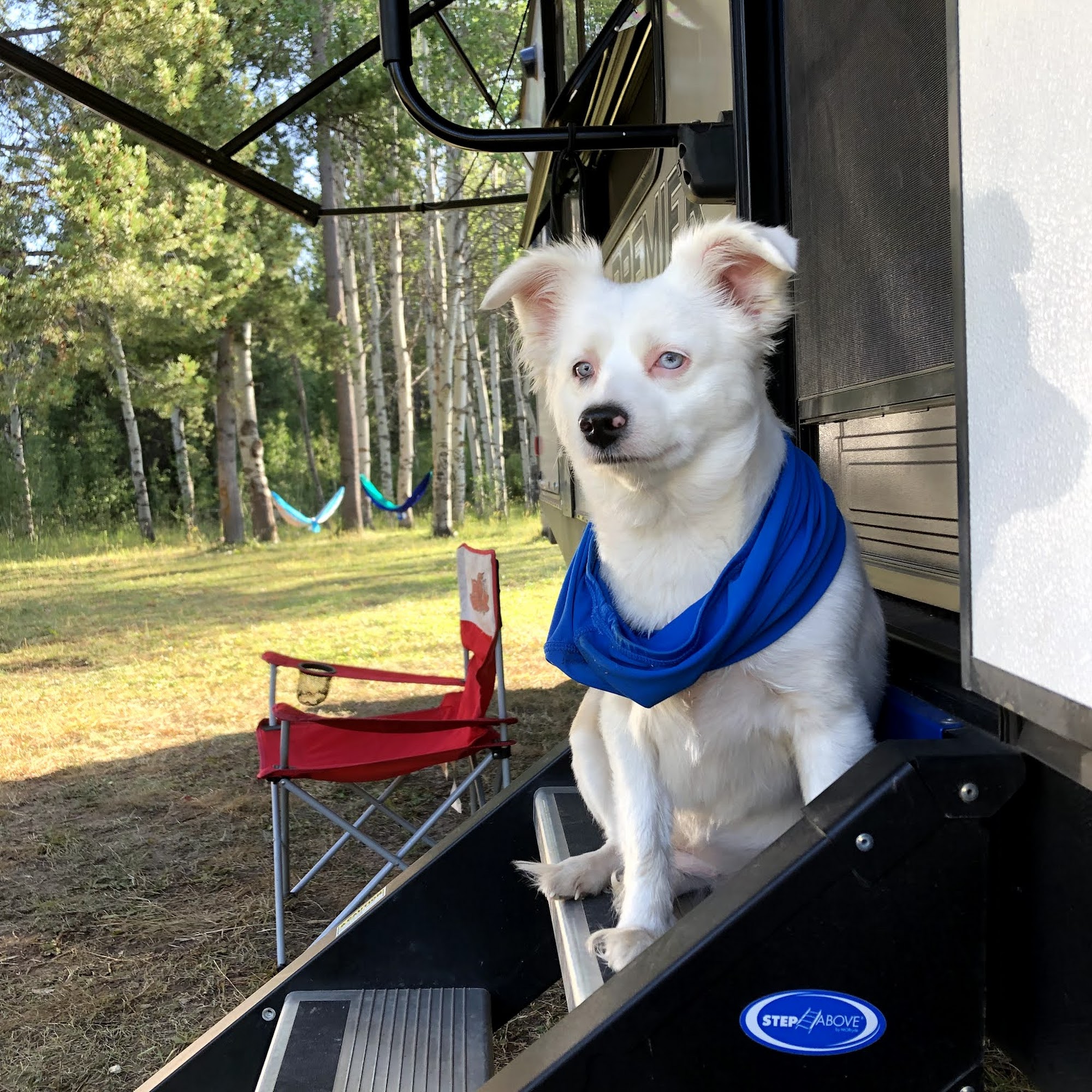 Southern Utah Animal Hospital Cedar City