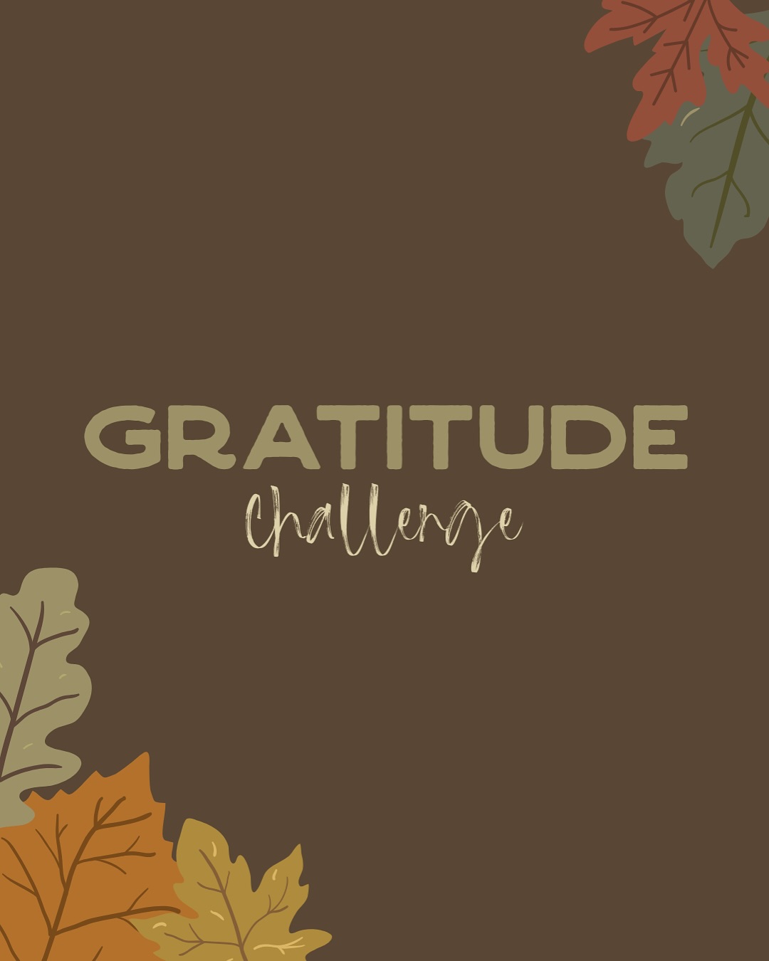 Bristlecone Cedar City