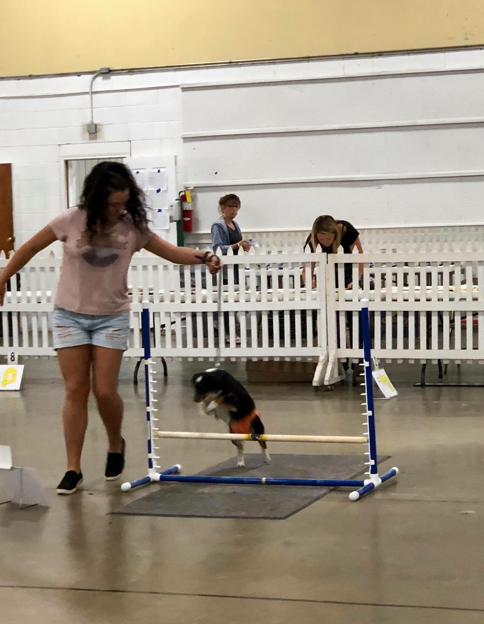 Color Country Aussies Cedar City