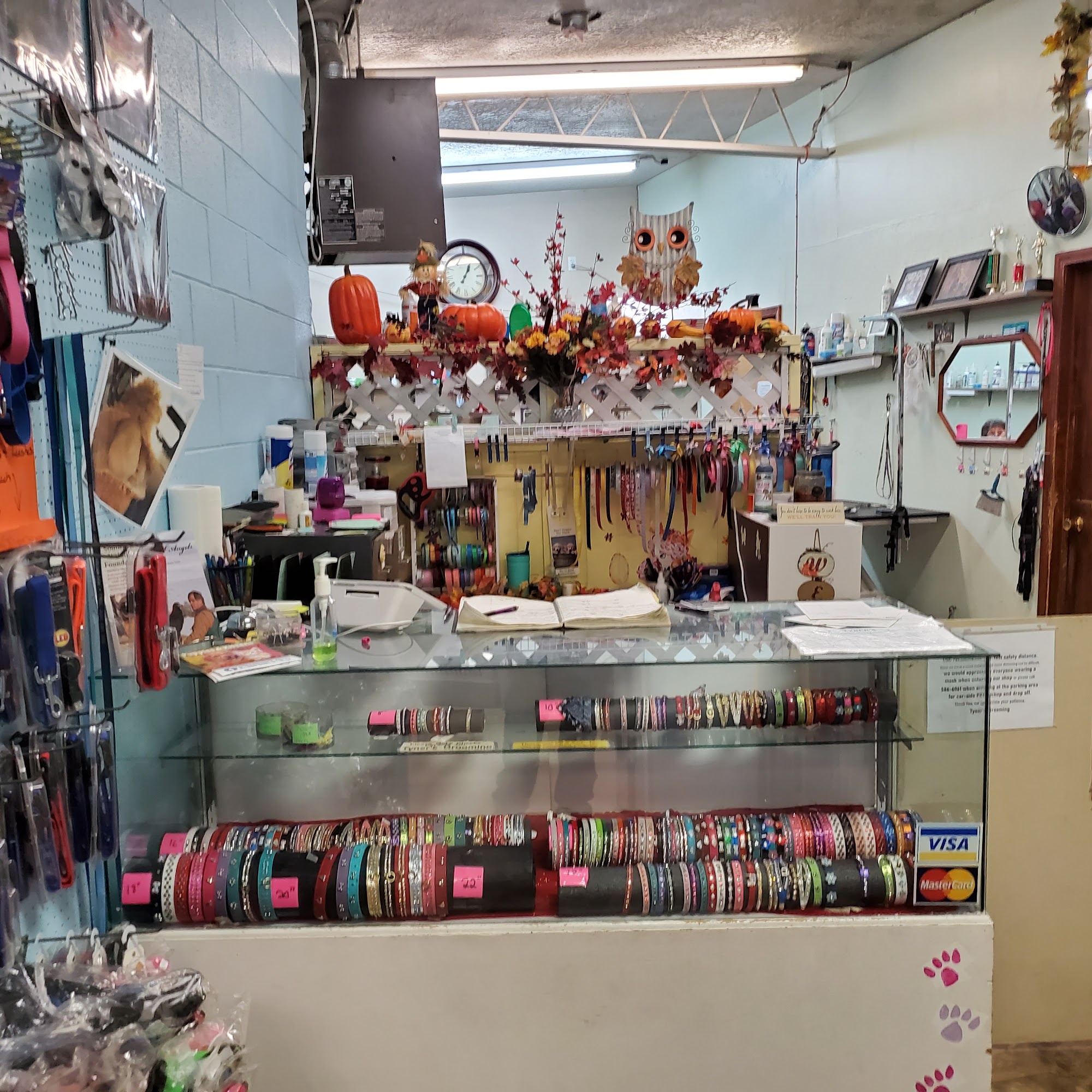 Tyner's Dog & Cat Grooming Cedar City