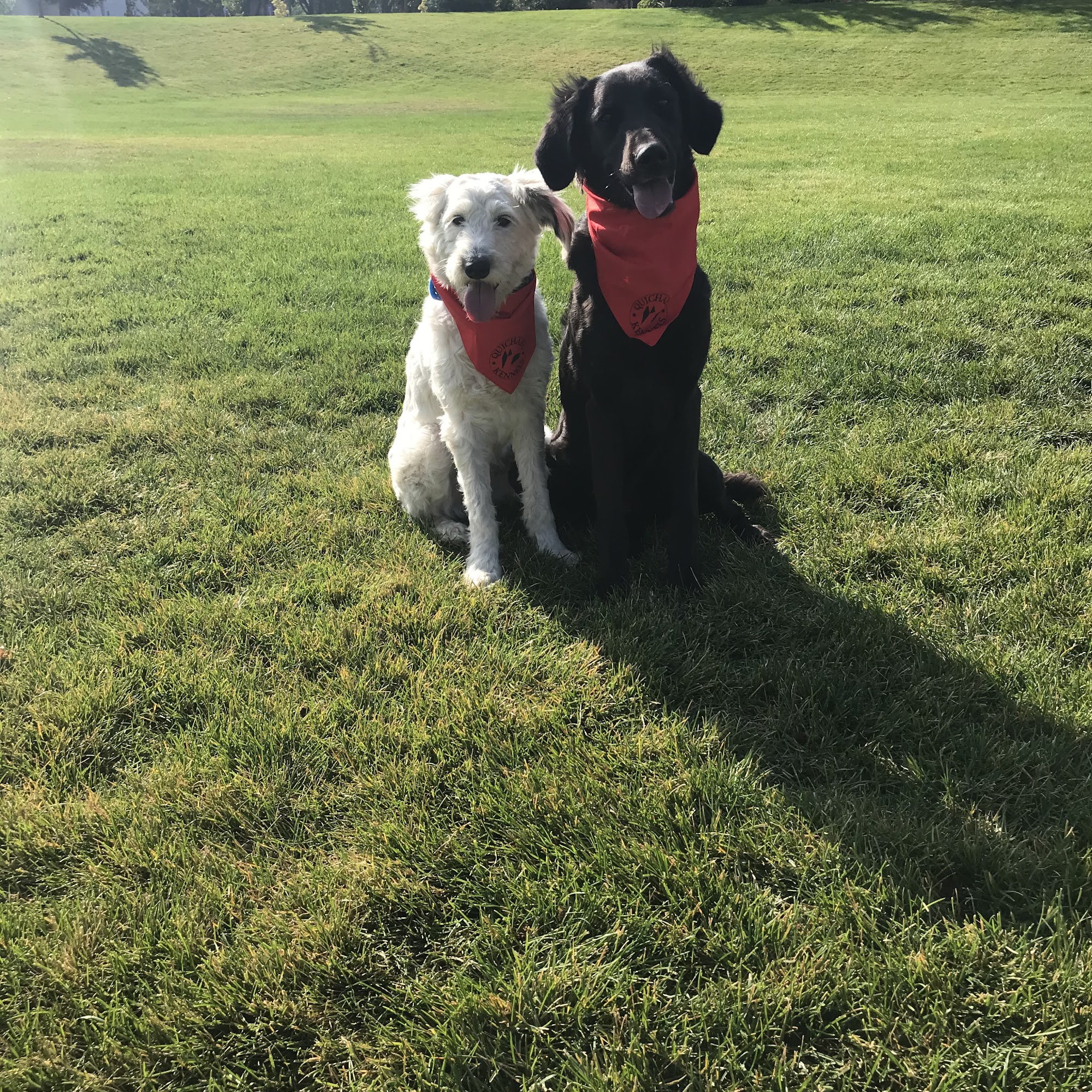 Quichapa Kennels Cedar City