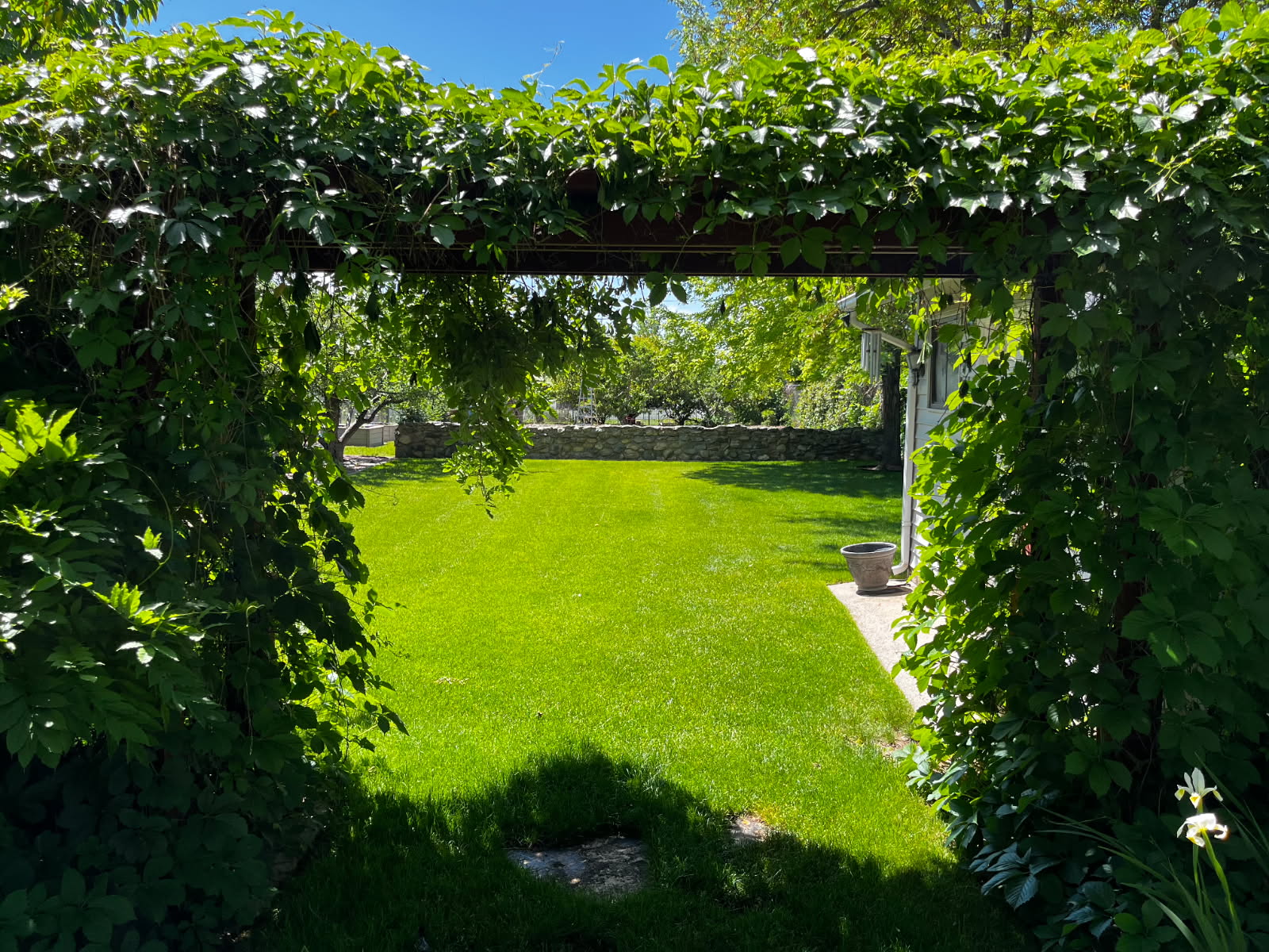 Frodsham Better Lawns & Trees