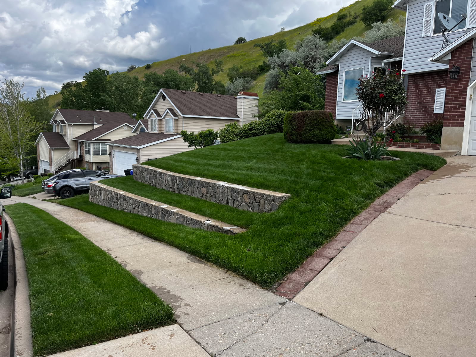 Frodsham Better Lawns & Trees