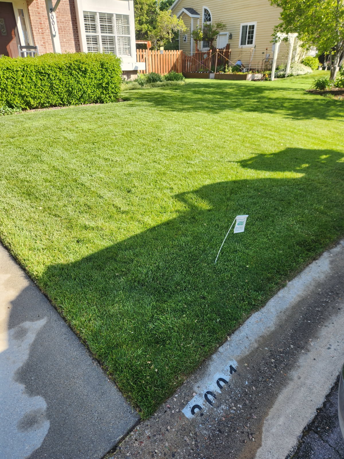 Frodsham Better Lawns & Trees