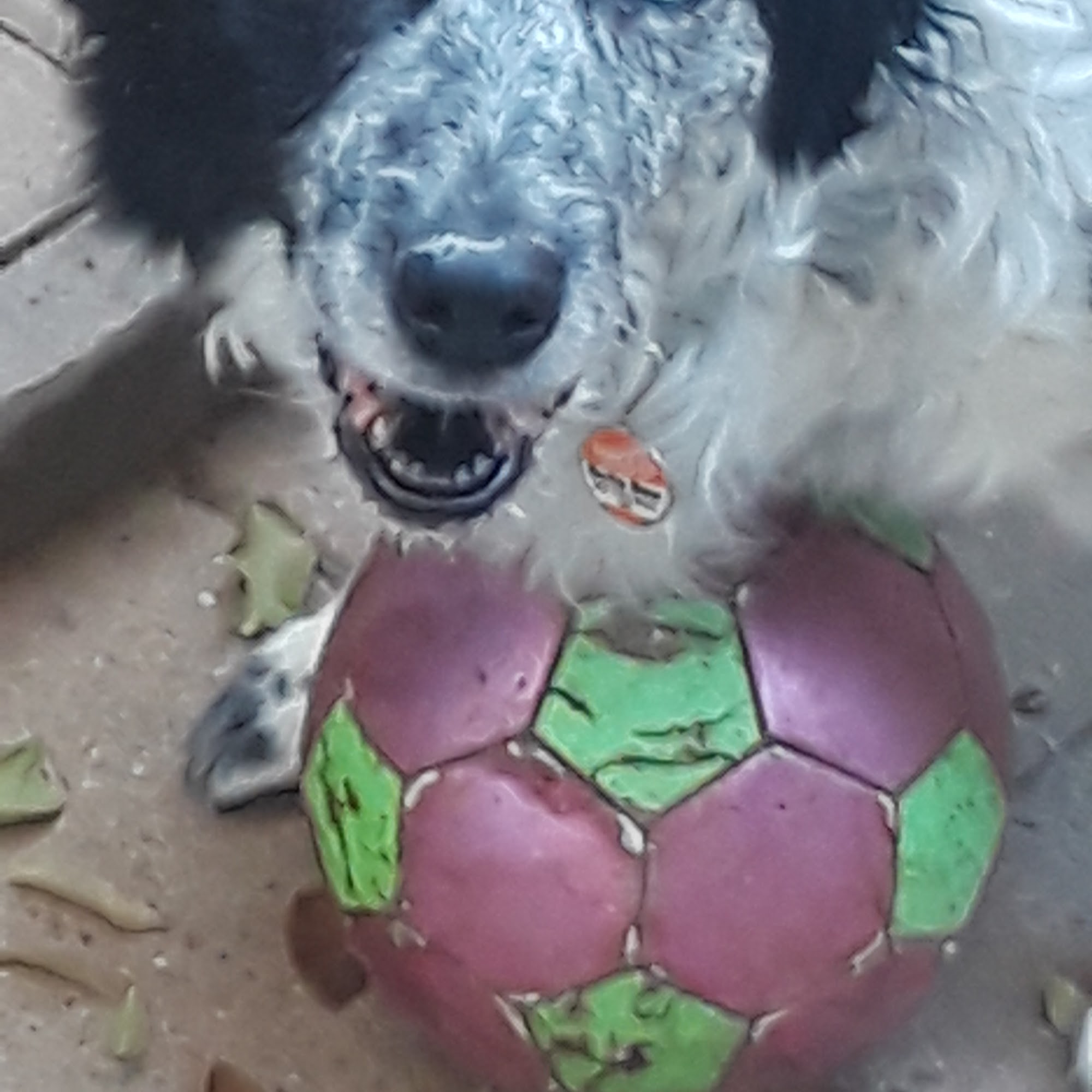 Taylor Denzel E DVM Clearfield