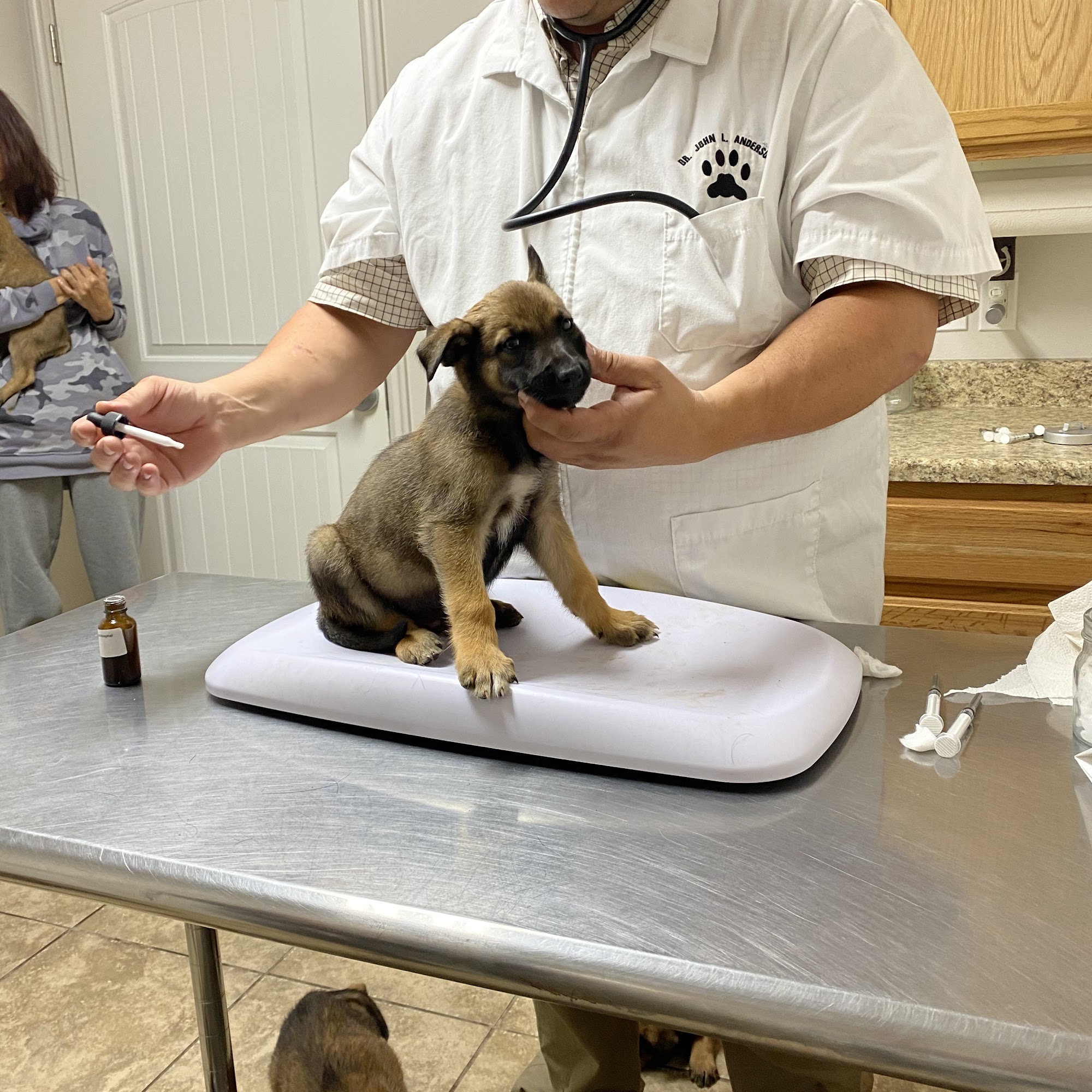 Central Utah Animal Hospital Delta