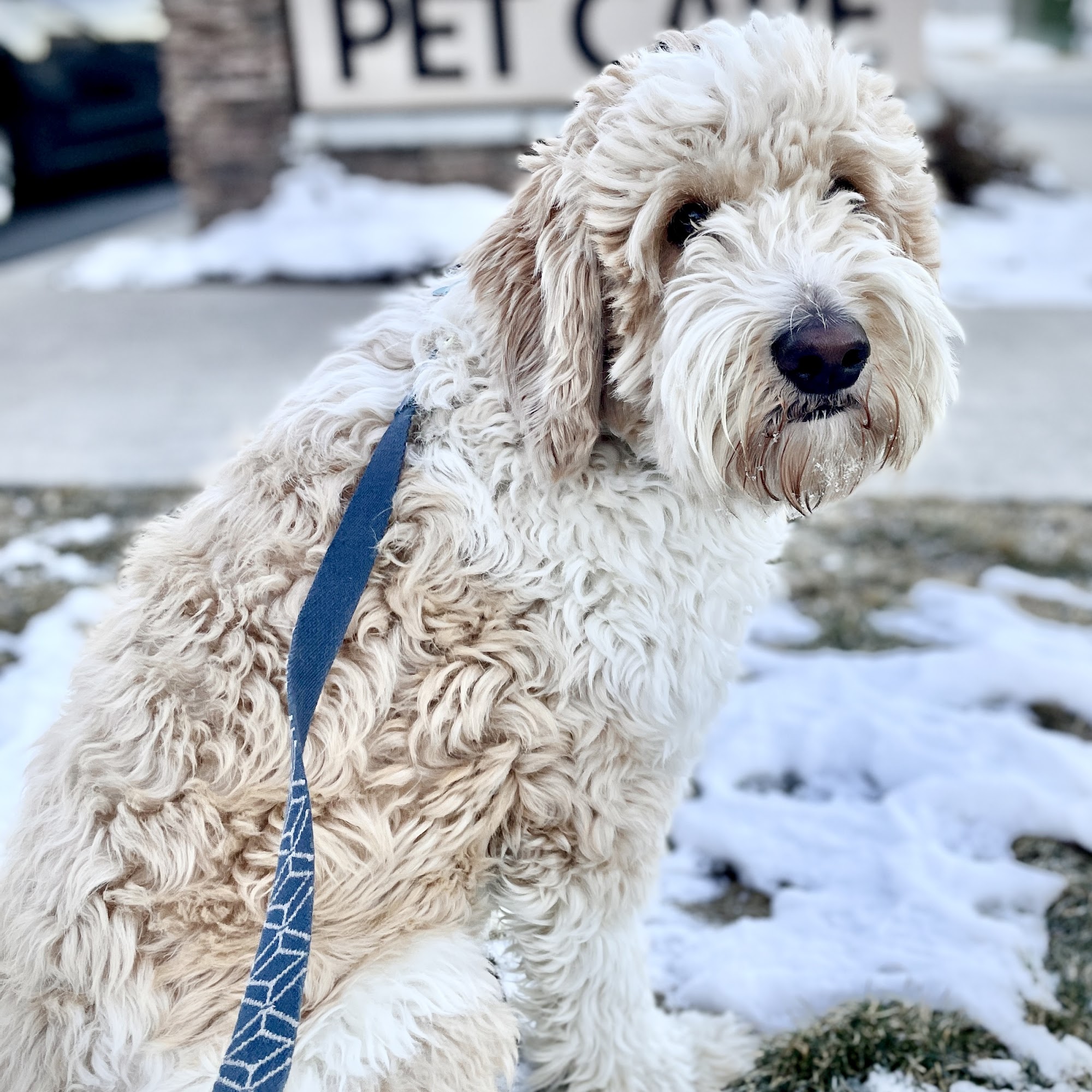 South Mountain Pet Care Draper