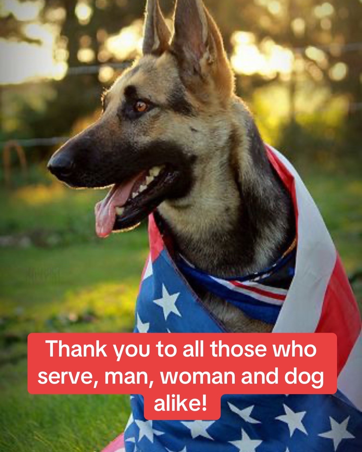 Doggy Day Spaw LLC Eagle Mountain