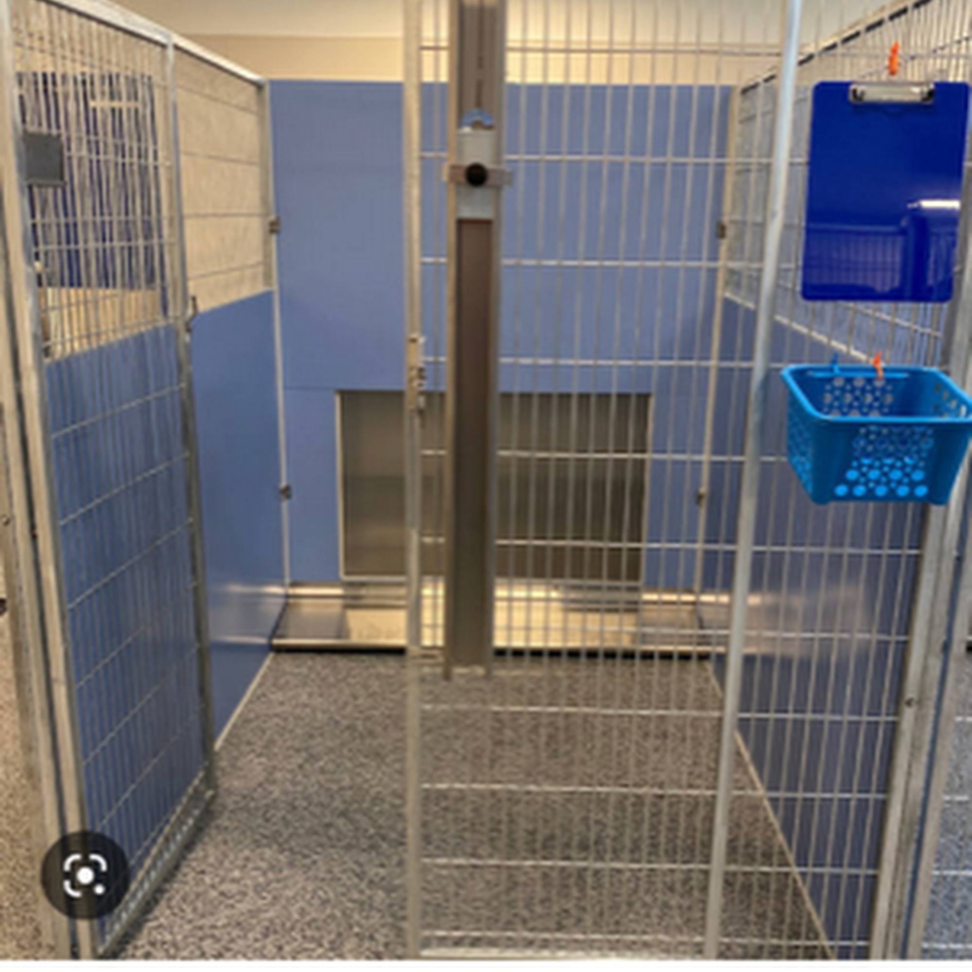 Bayview Boarding & Grooming Farmington