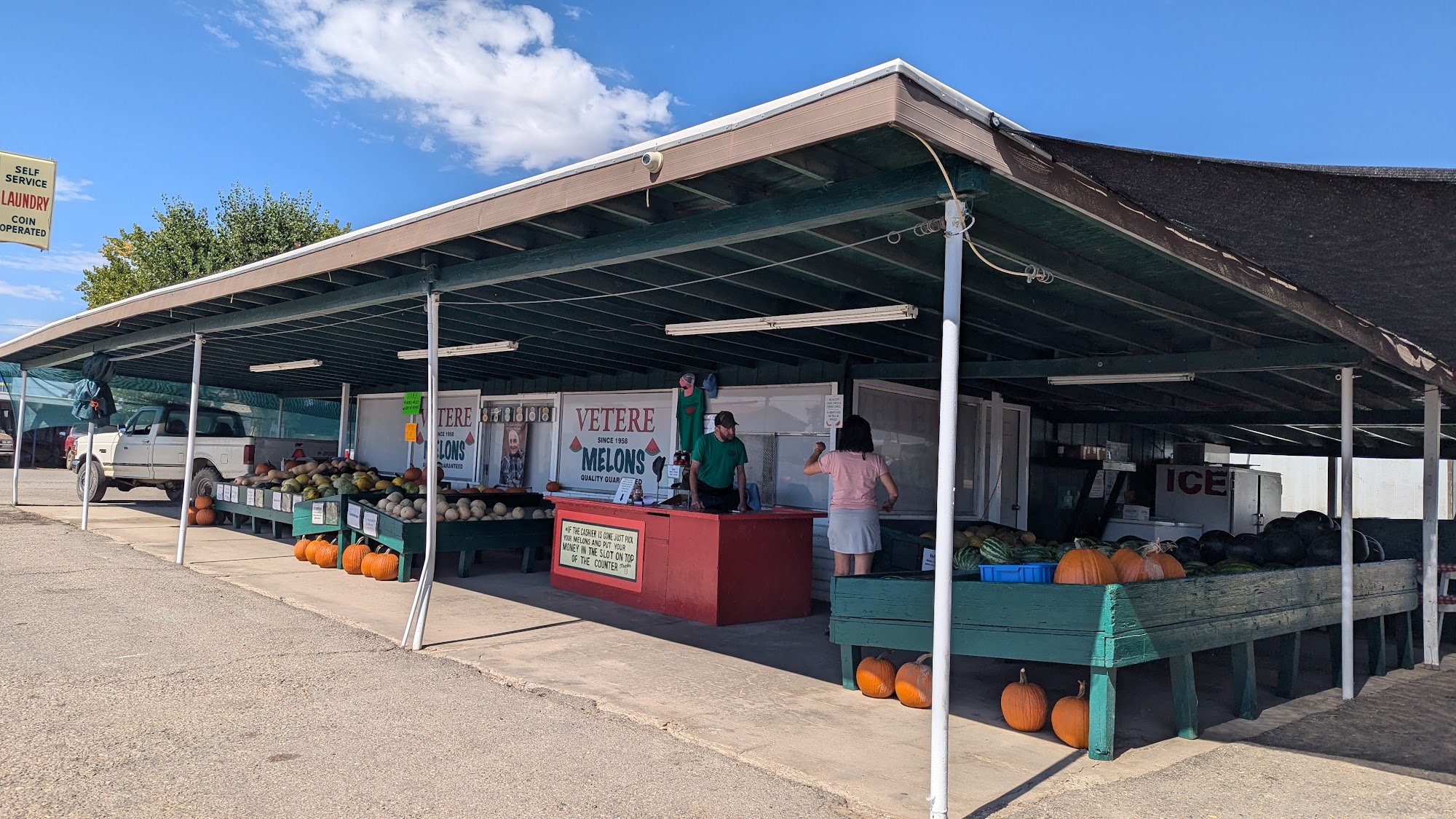 Vetere Melons Green River