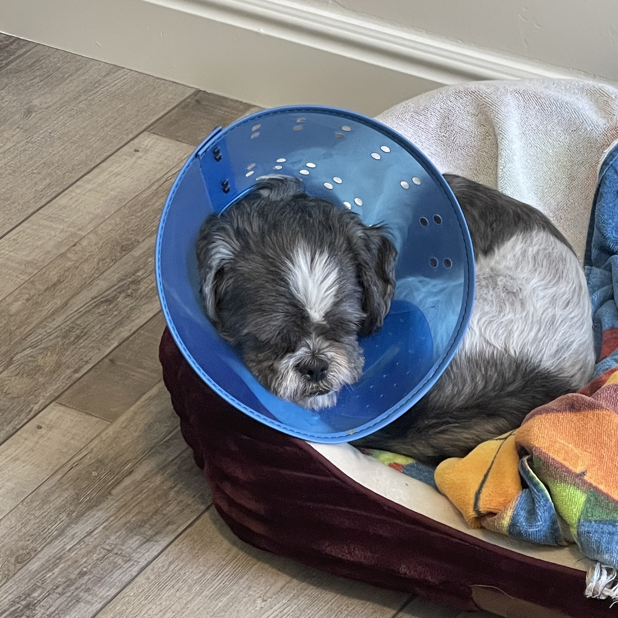 Gunnison Valley Animal Clinic Gunnison