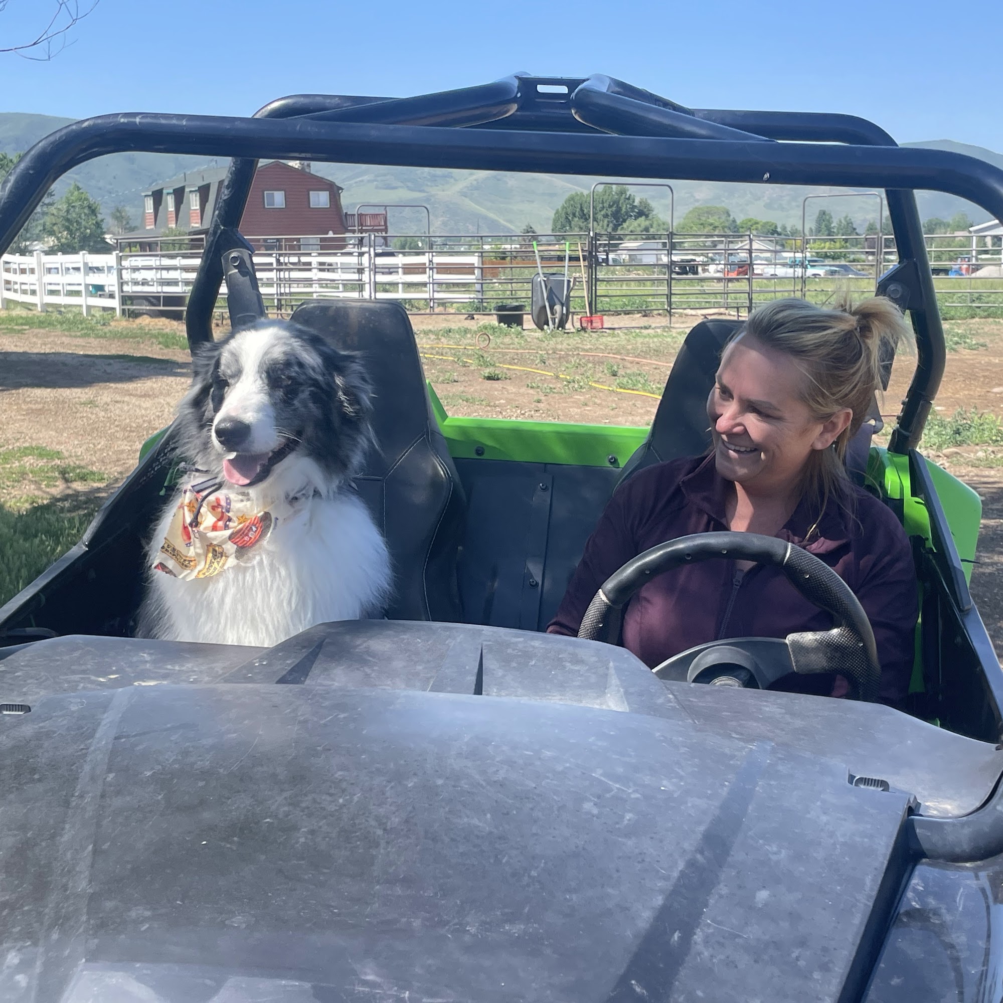 Squeaky Grooming and Care Heber City