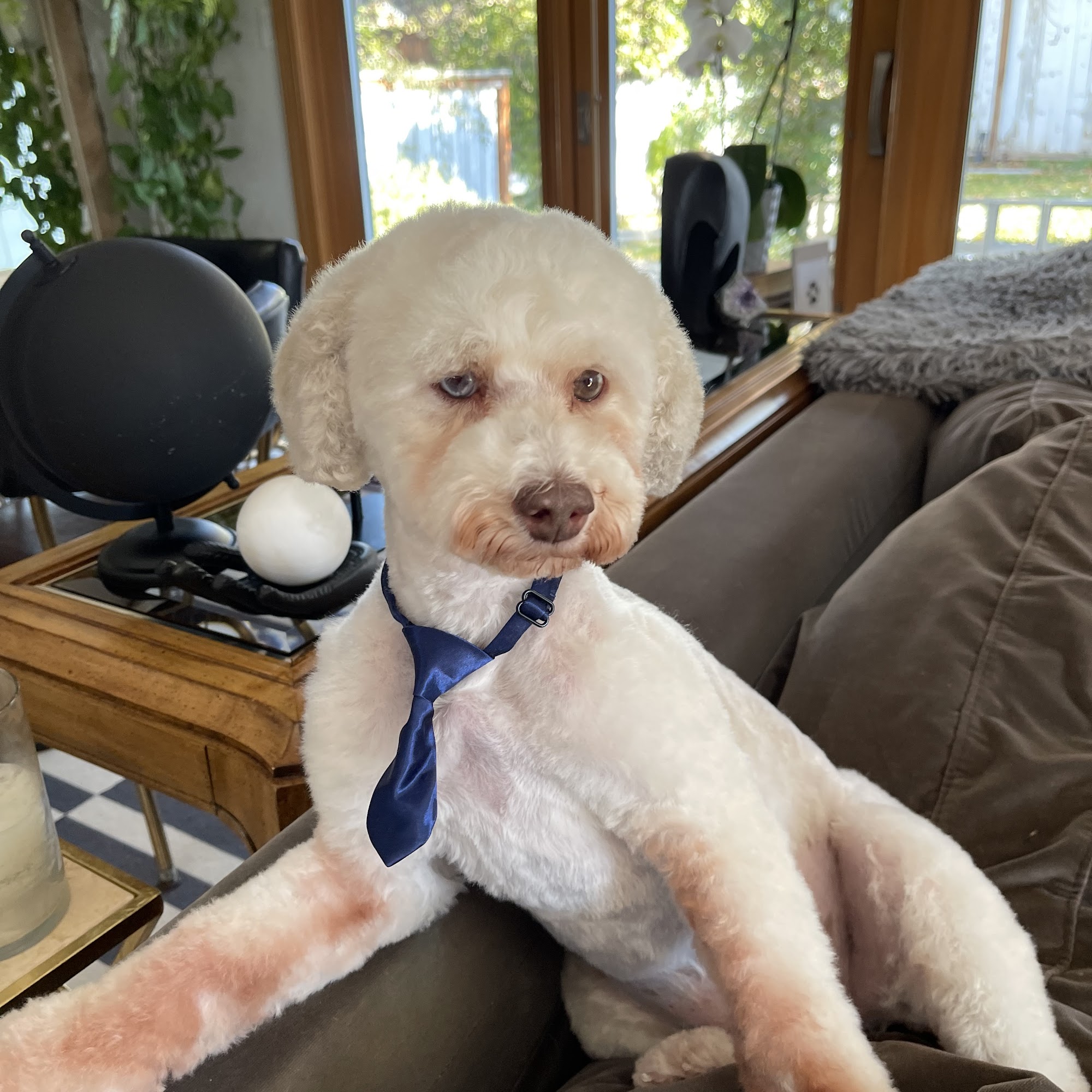 VetMed Consultants Holladay