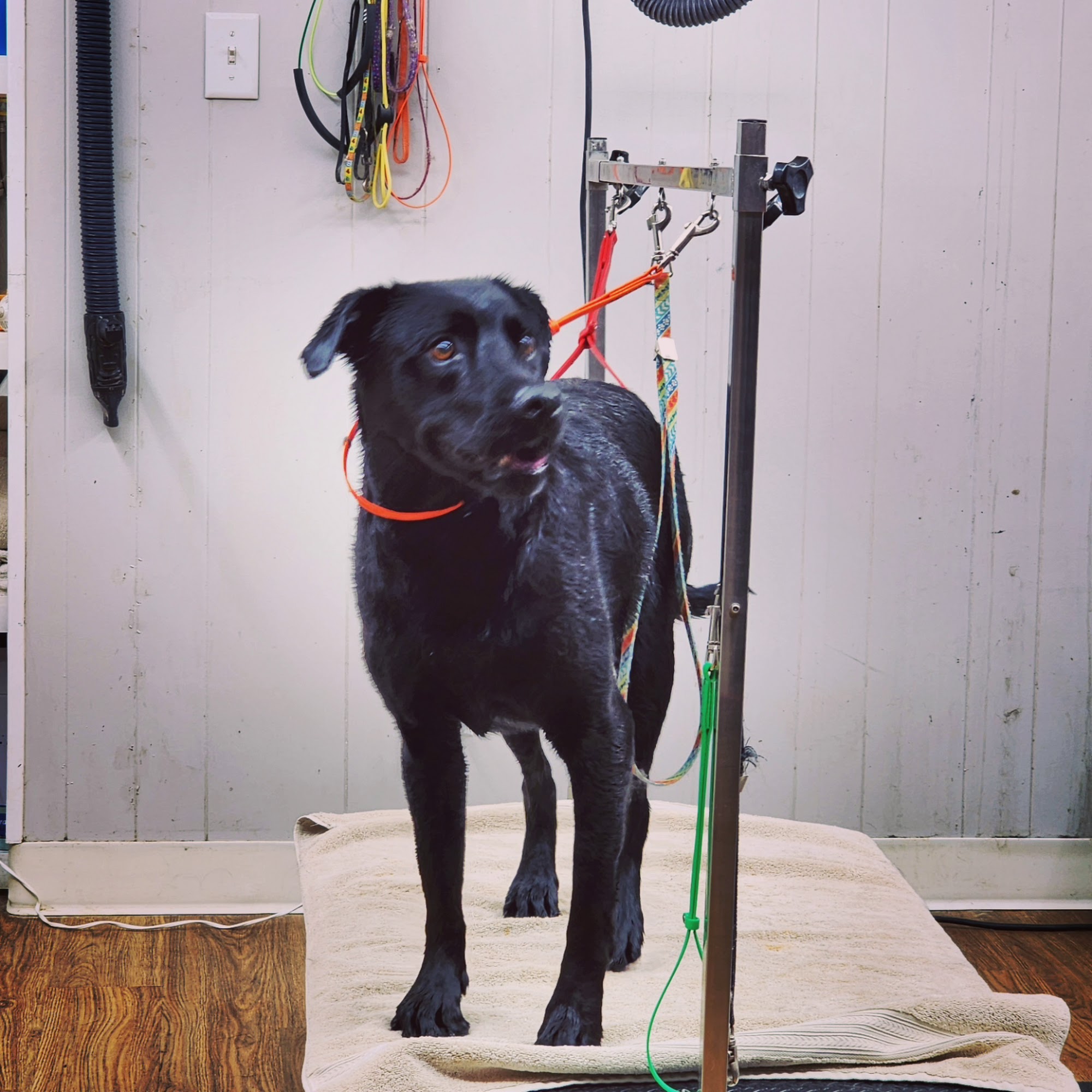 Kanab Veterinary Hospital Kanab