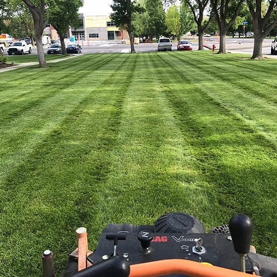Distinctive Landscape Inc