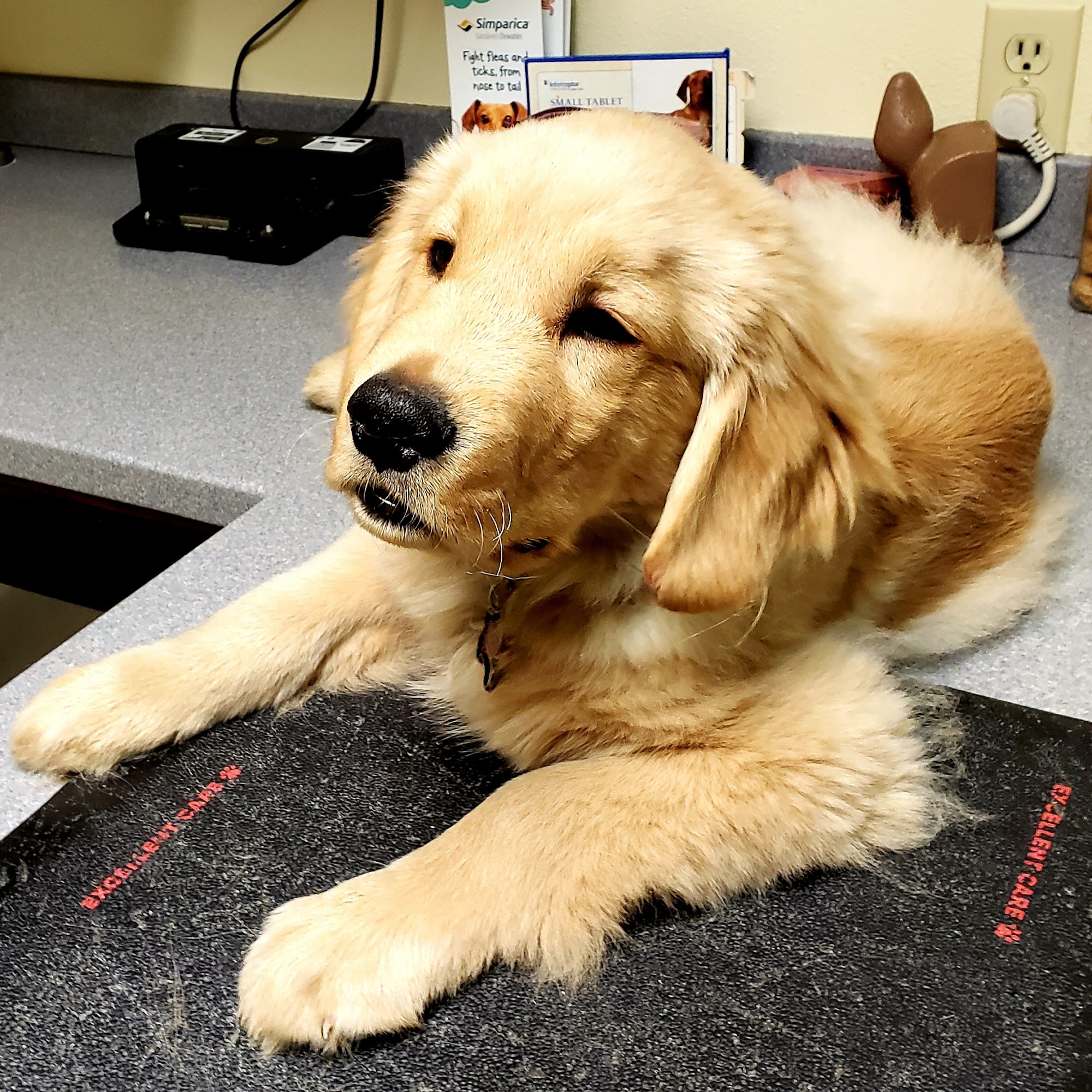 Bridgerland-Cache Animal Hospital Logan