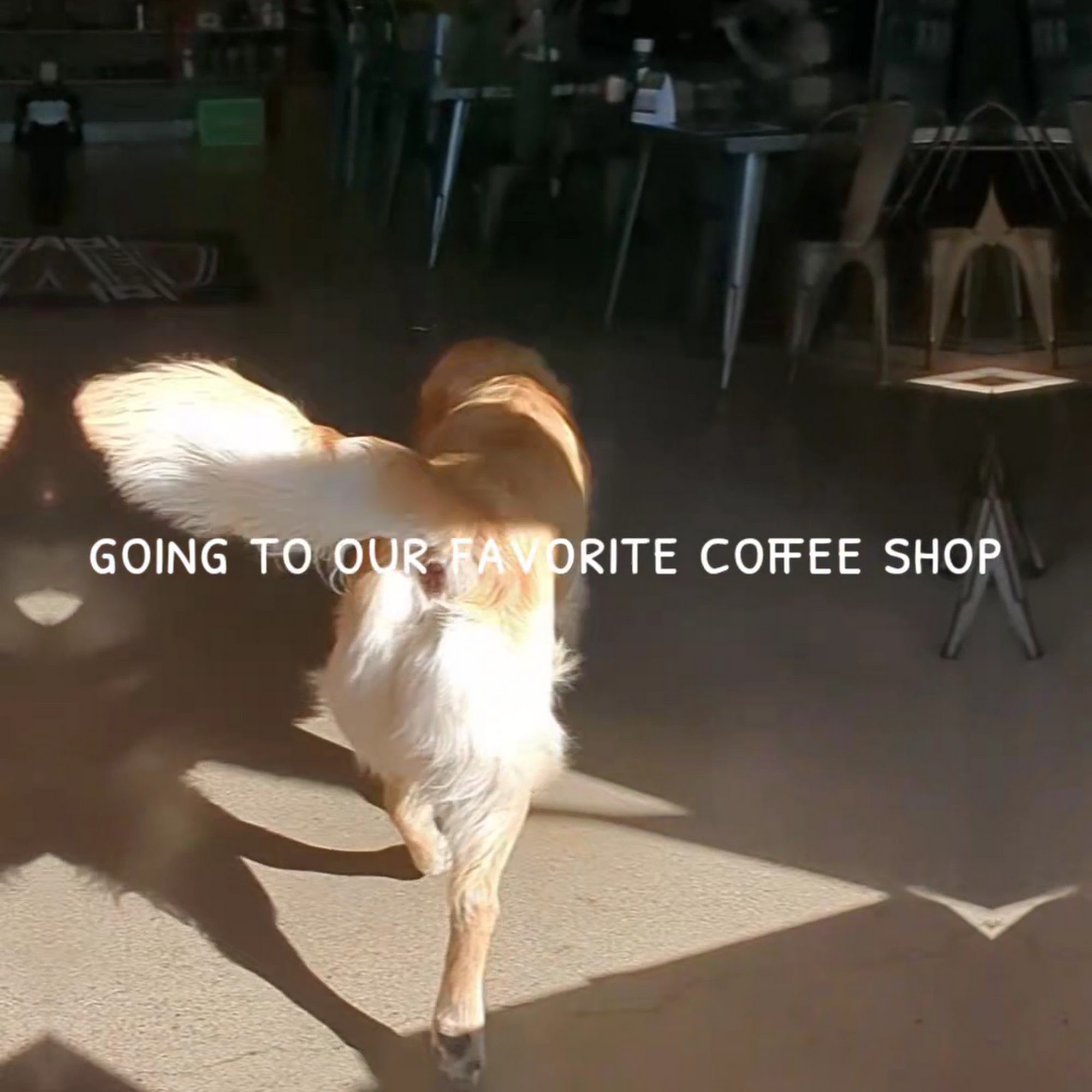 Cache Coffee And More Logan