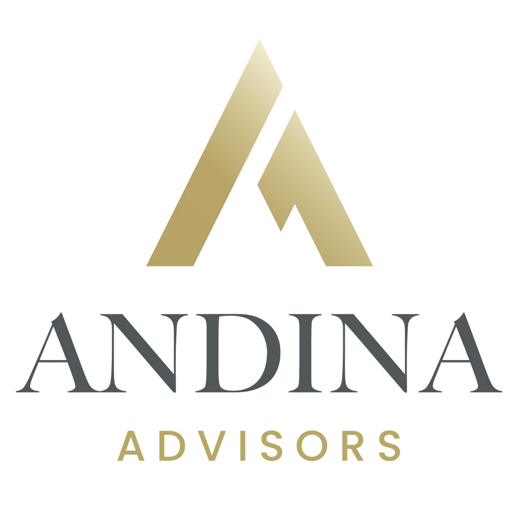 Andina Advisors