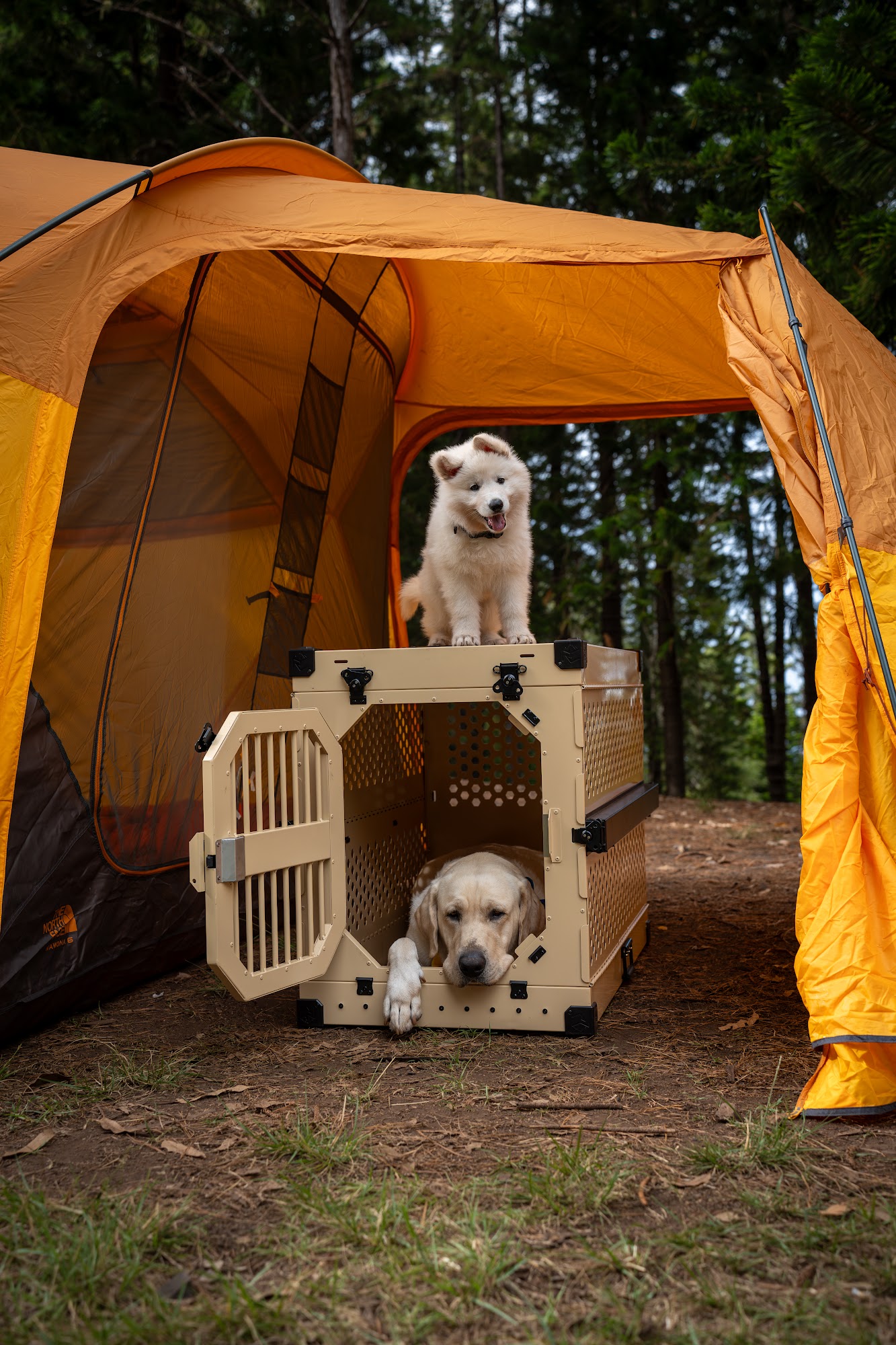 Rock Creek Crates Logan