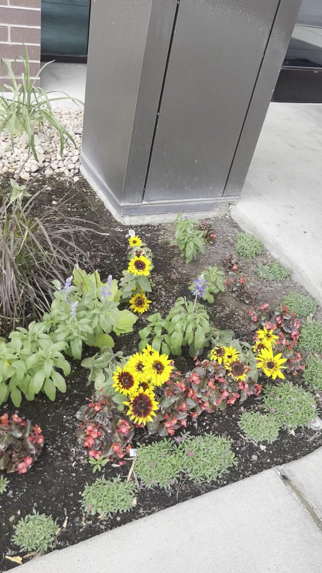 EXODUS HEALTHCARE NETWORK - Magna UT - Hours, Directions, Reviews ...