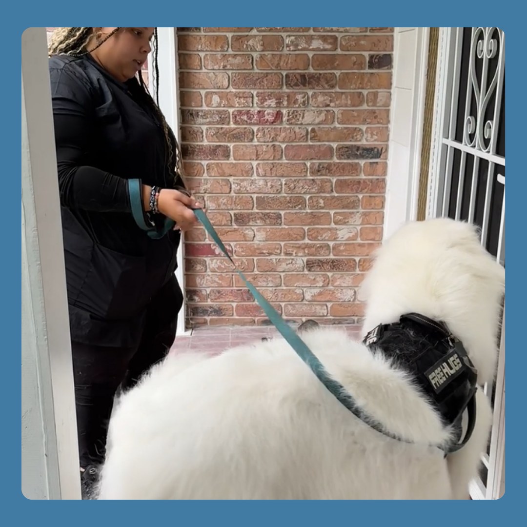 Aussie Pet Mobile Salt Lake Midvale