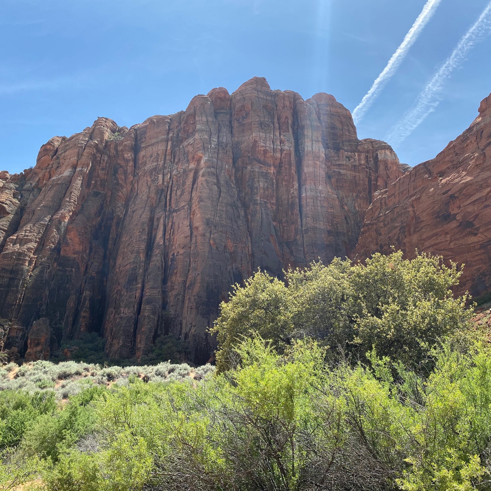 The Padgen Method of Healing Arts Inc.