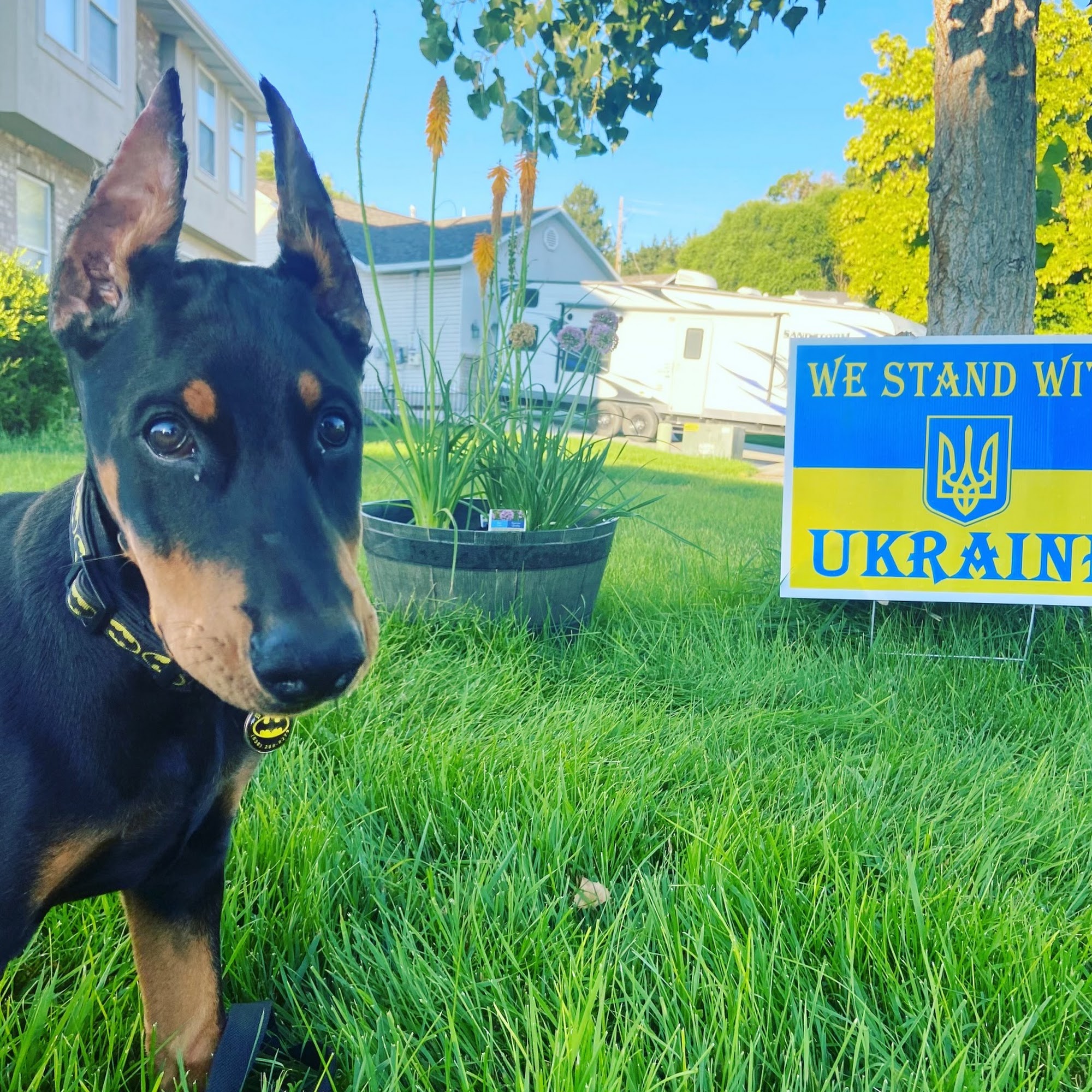 River Valley Vet Hospital Morgan