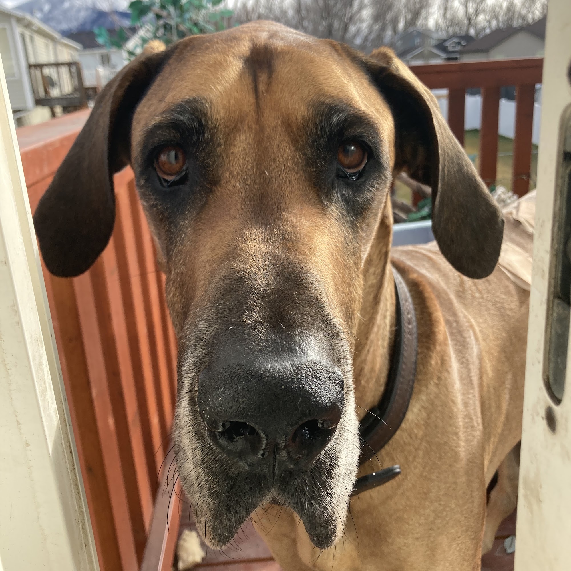 Coldwater Animal Hospital North Ogden