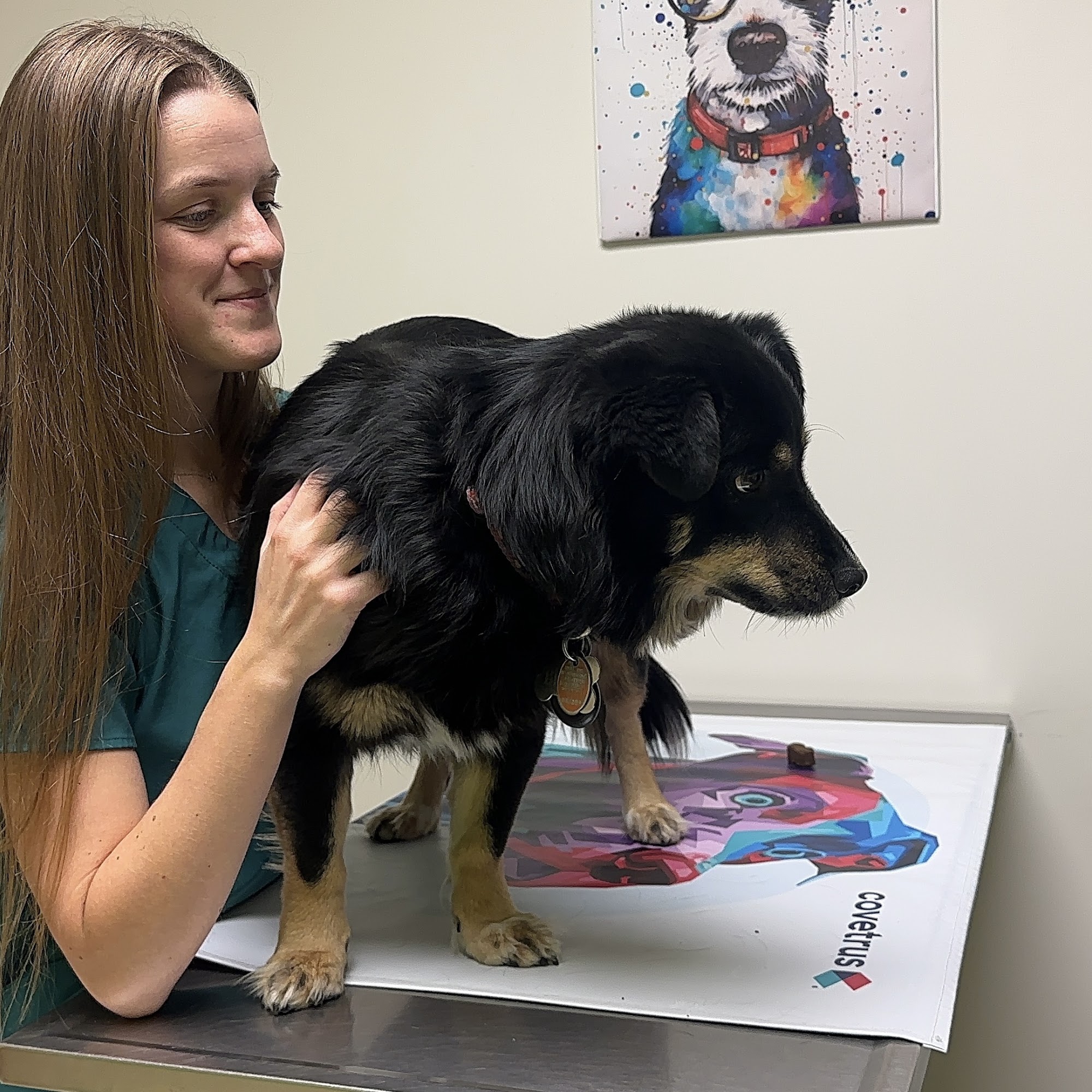 Wilson Veterinary Hospital North Salt Lake