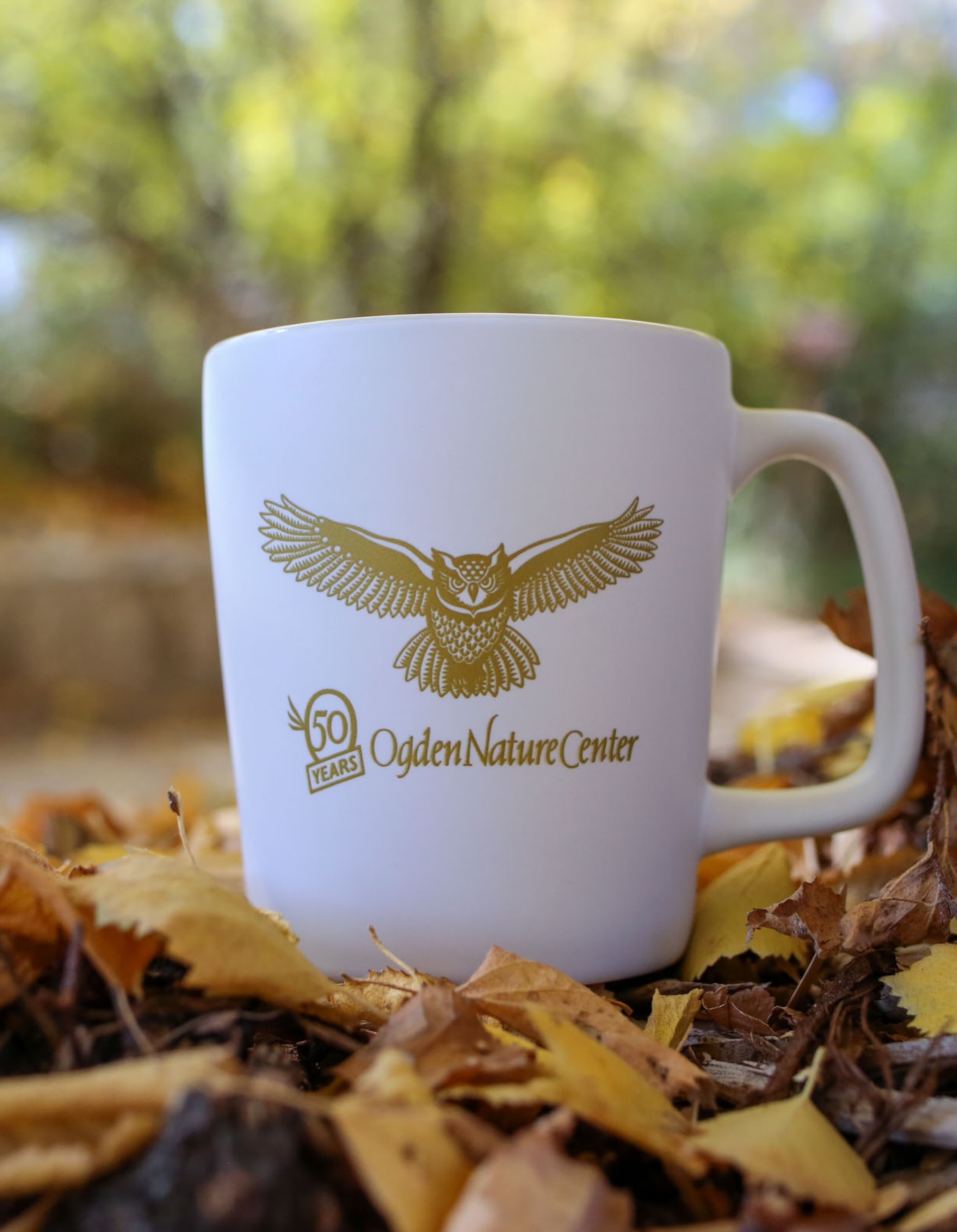 Daily Rise Coffee Downtown Ogden