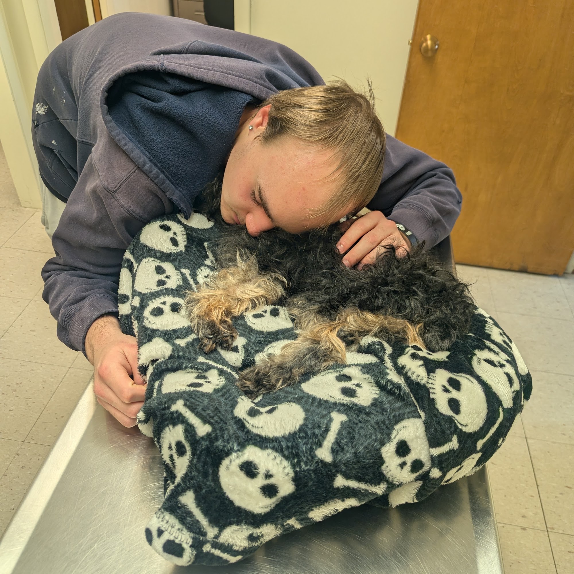 Ben Lomond Animal Clinic Ogden