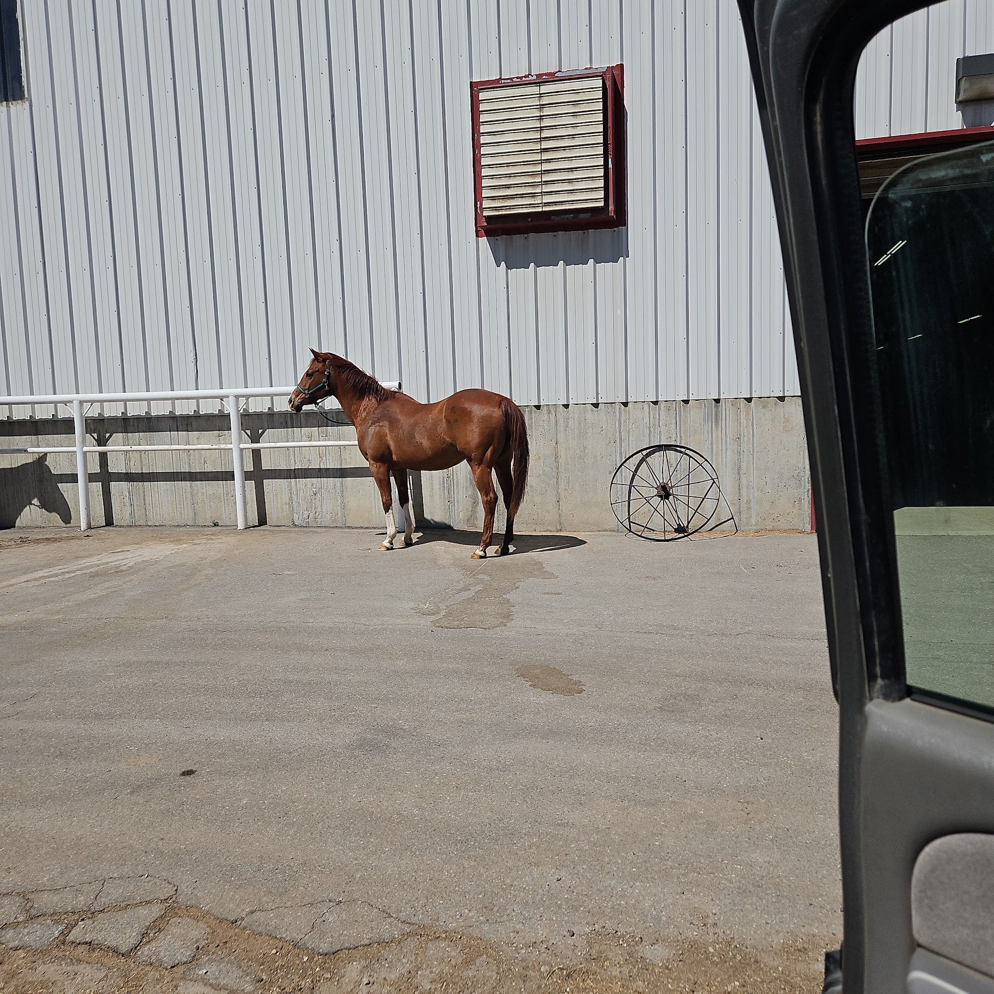 South Valley Equine - Heritage Location Ogden